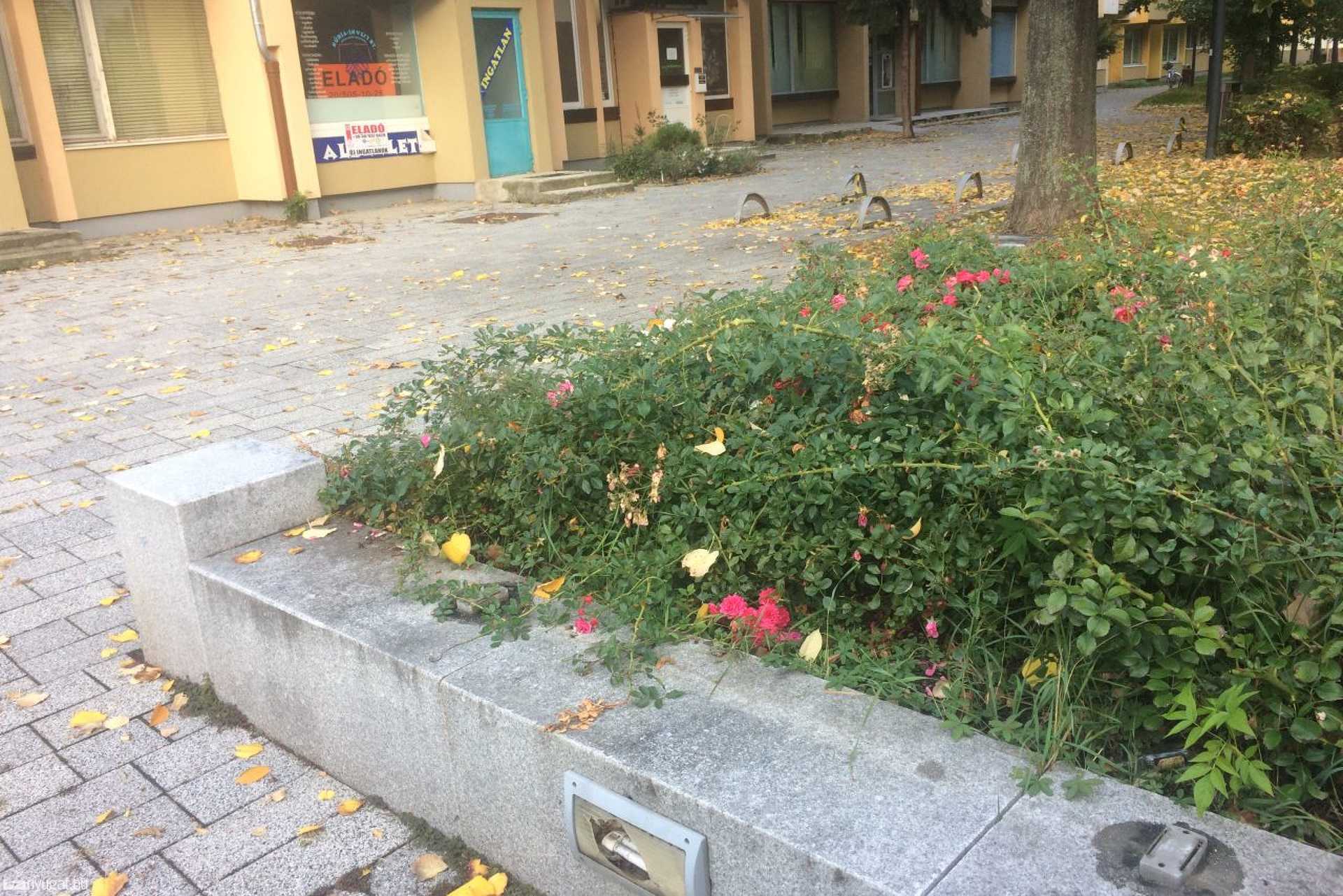 Leszerelték az ülőlapokat a Gyöngyös-parti padokról