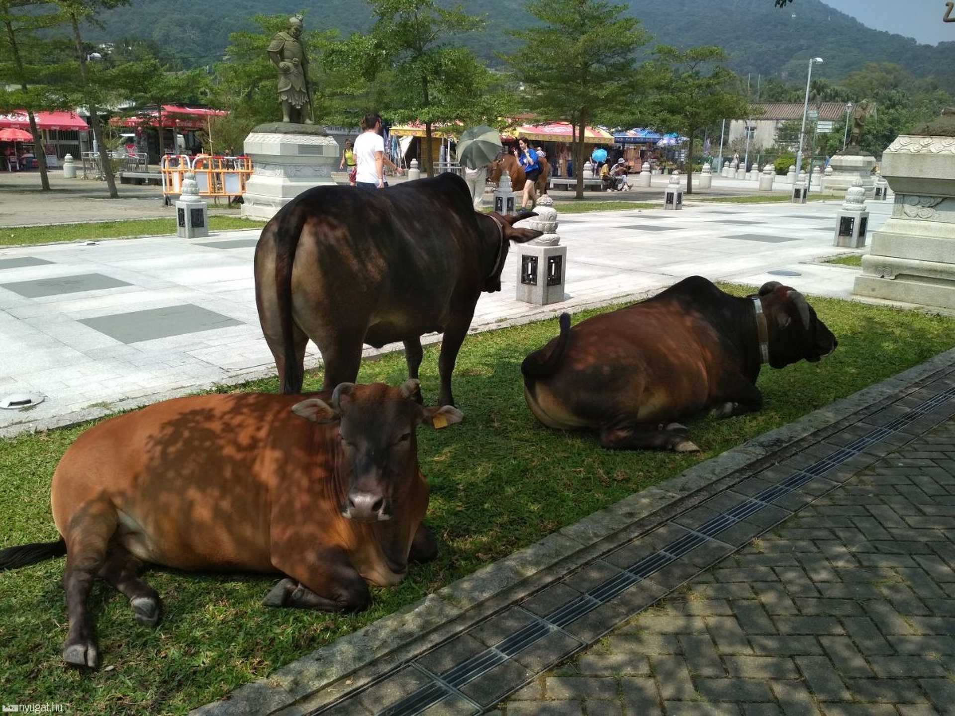 Hongkong