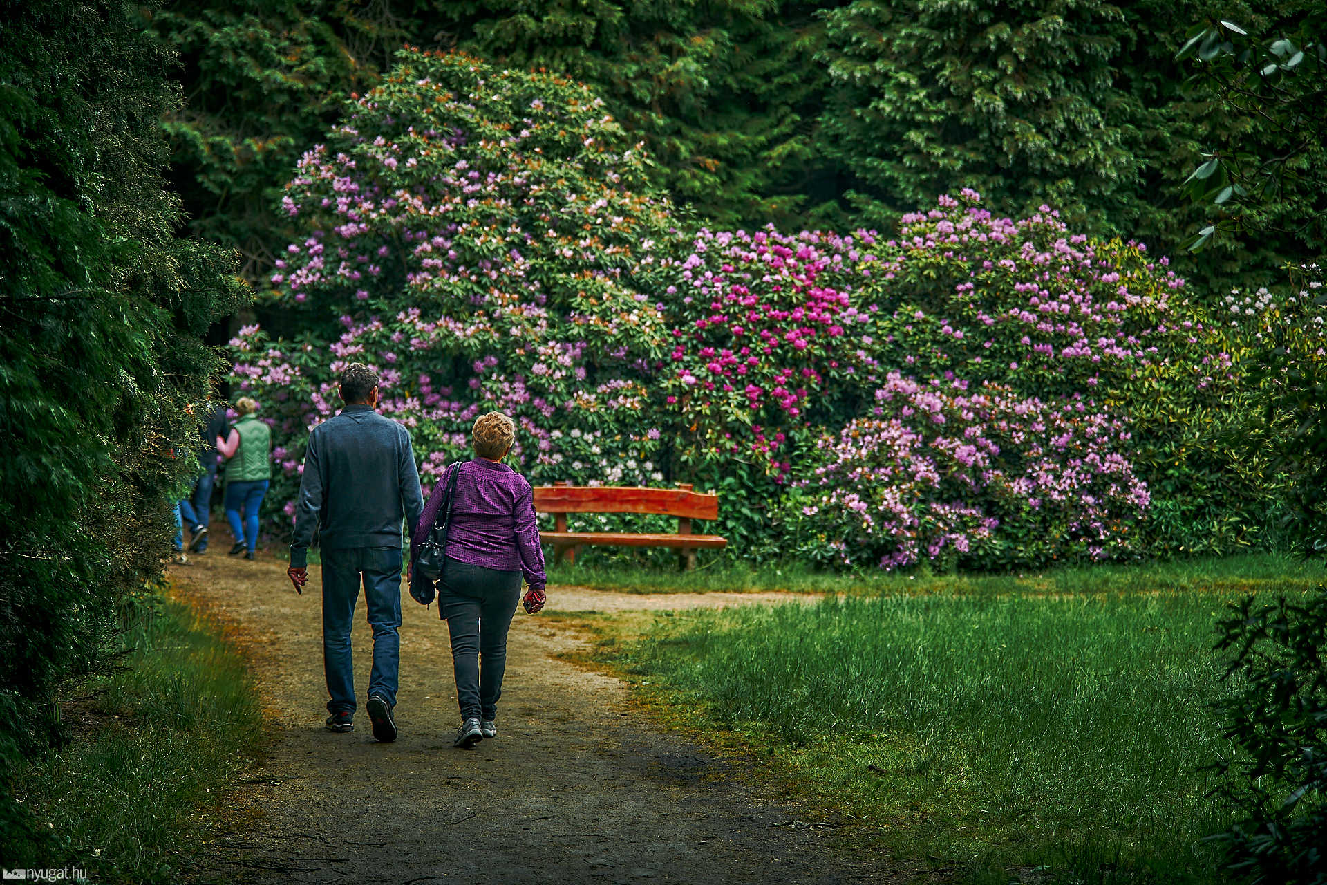 Megnyílt a jeli arborétum