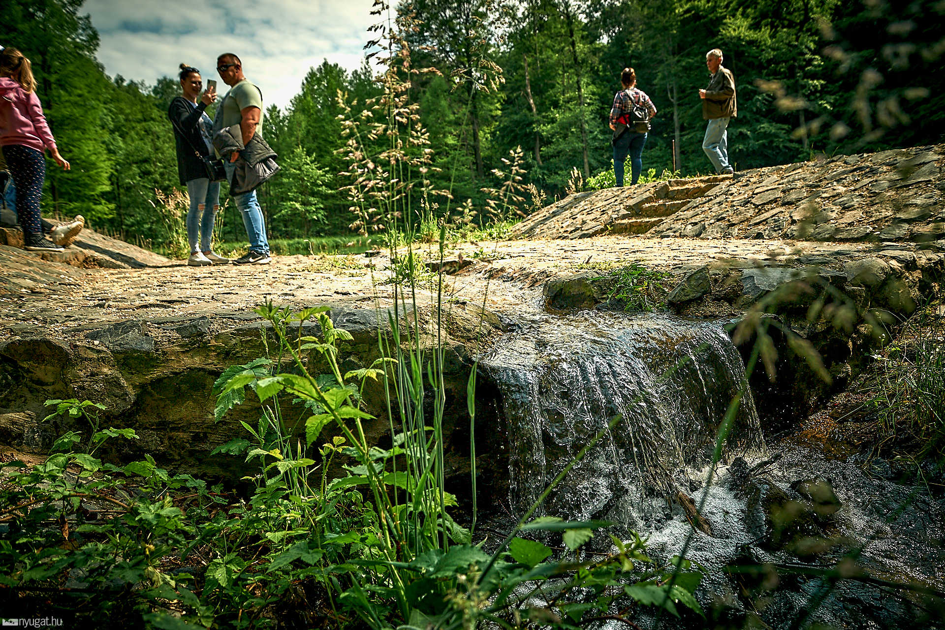 Megnyílt a jeli arborétum