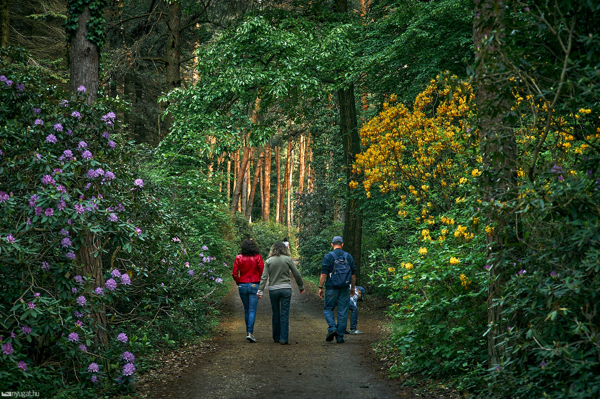Megnyílt a jeli arborétum