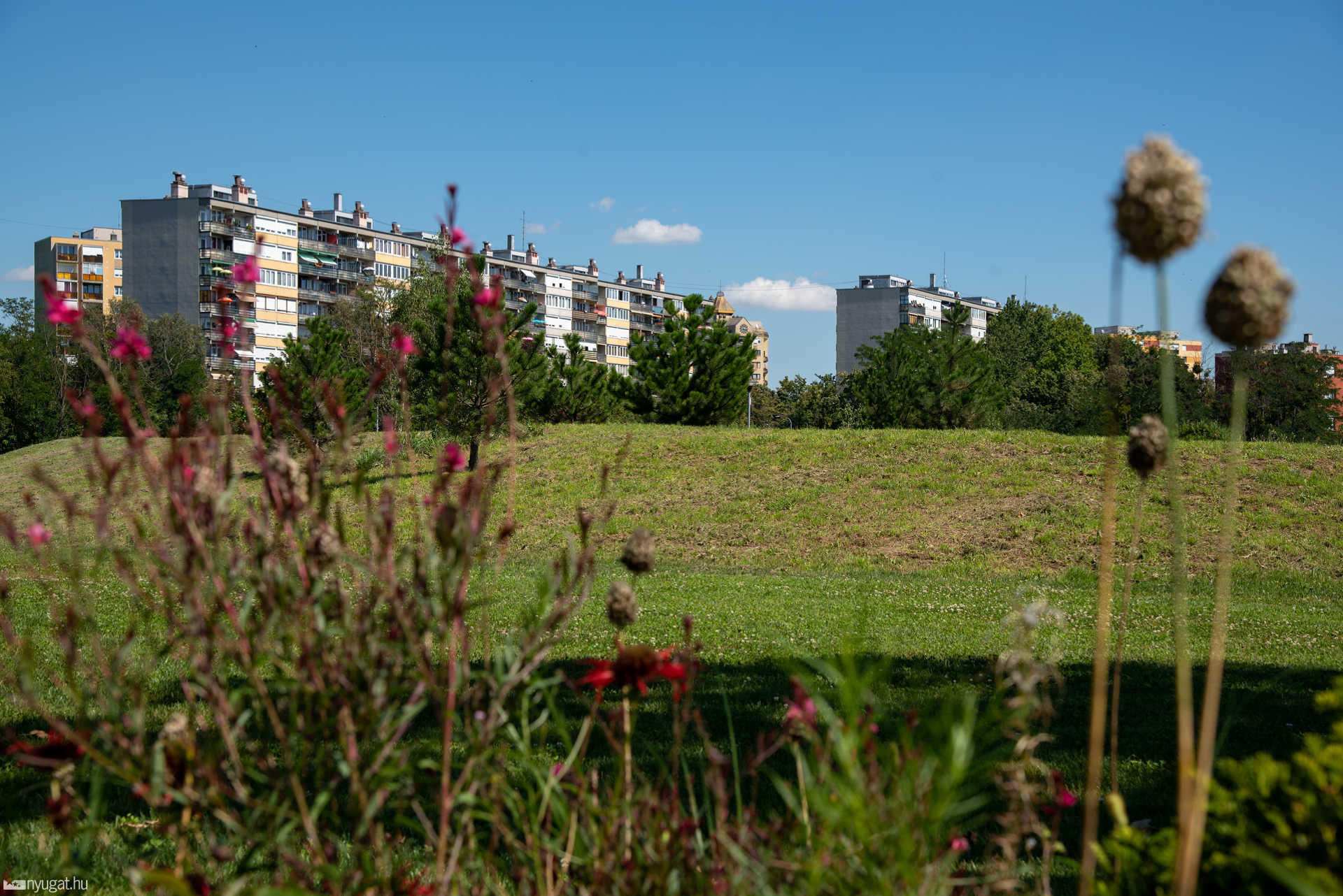 Sportliget 2020.08.19.