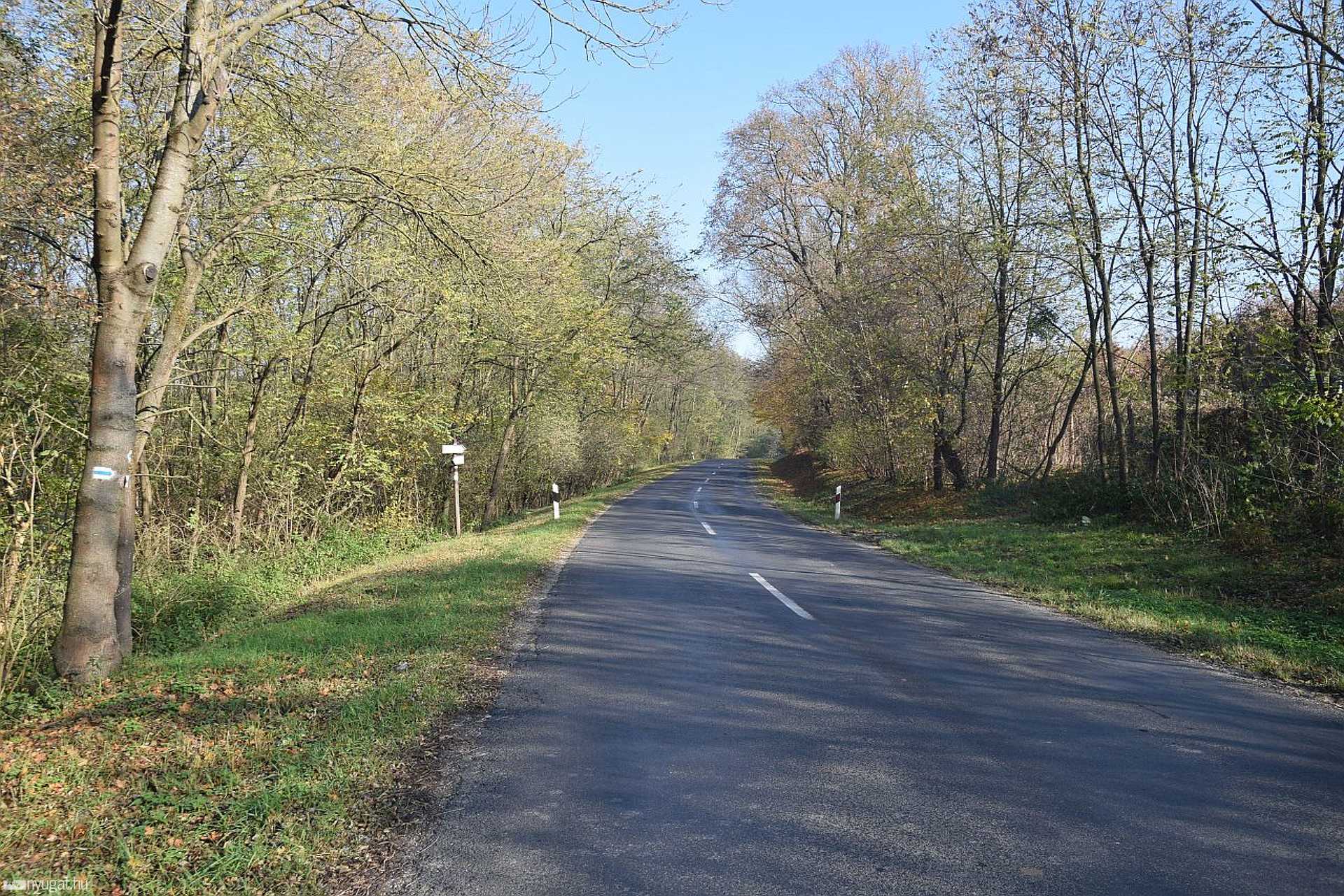 A góri állomás keresése: erdő, ősz, séra
