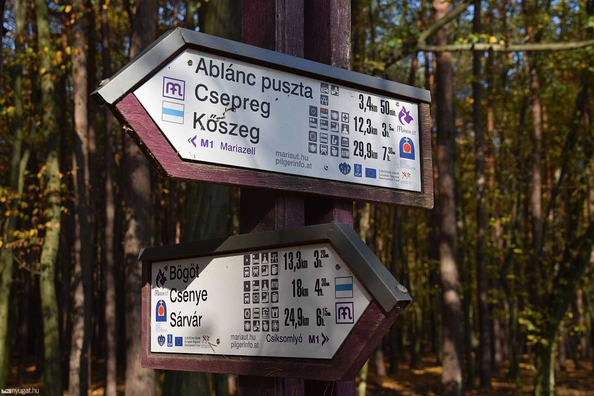 A góri állomás keresése: erdő, ősz, séra