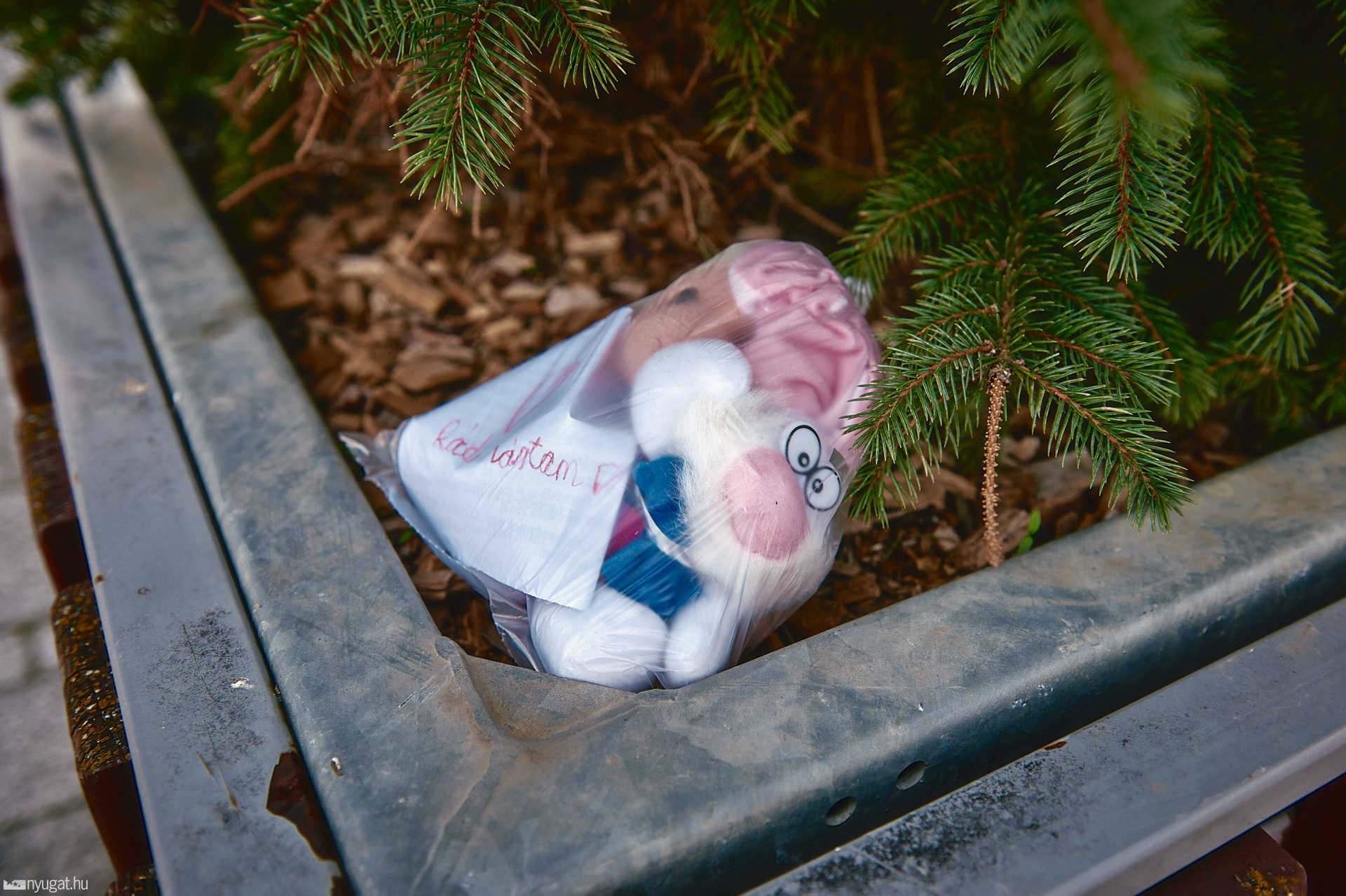 Plüssökkel NOEL-ért
