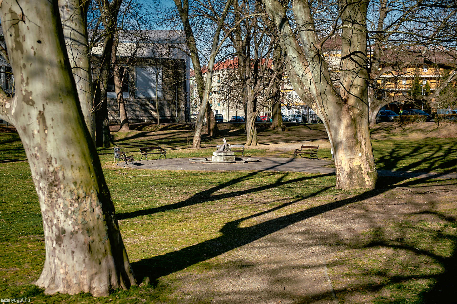 Pelikán park reggel