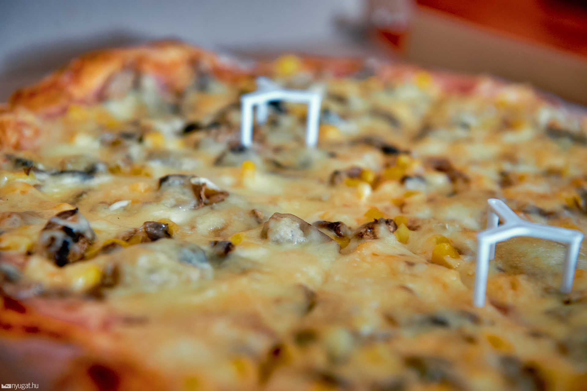Bingo Pizza