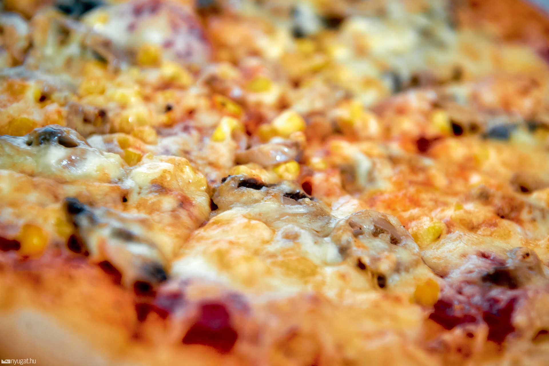 Hollywood Pizza