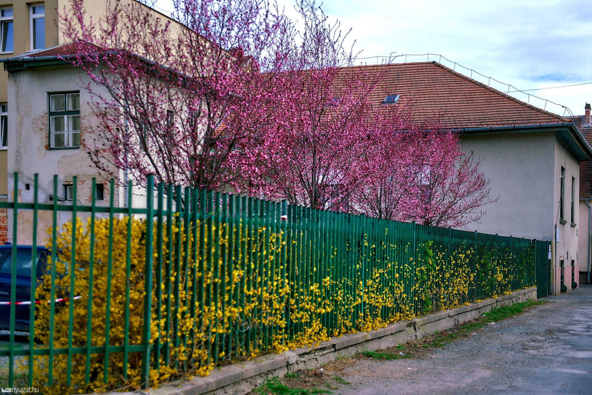 Kivirágzott Szombathely