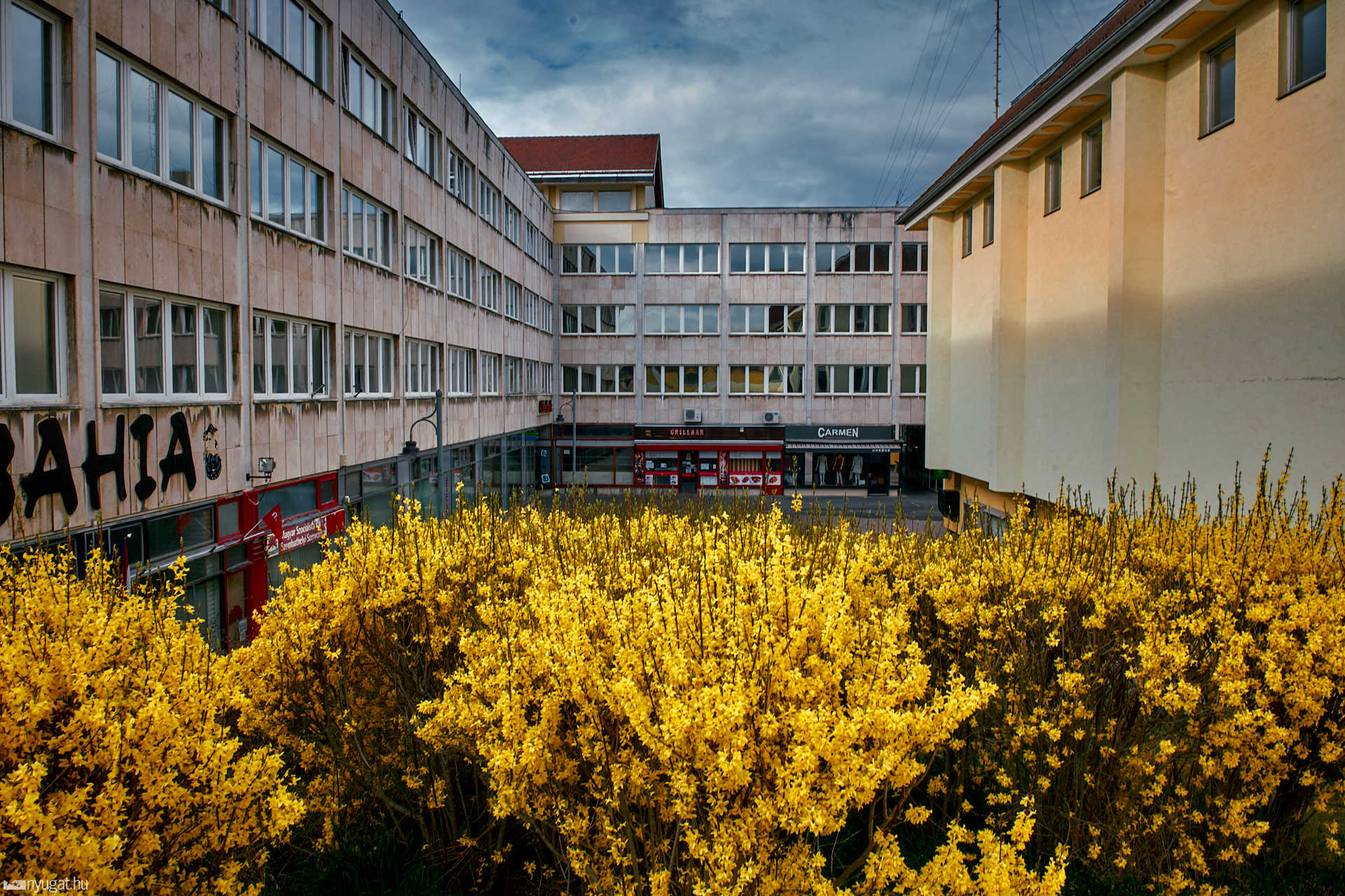 Kivirágzott Szombathely