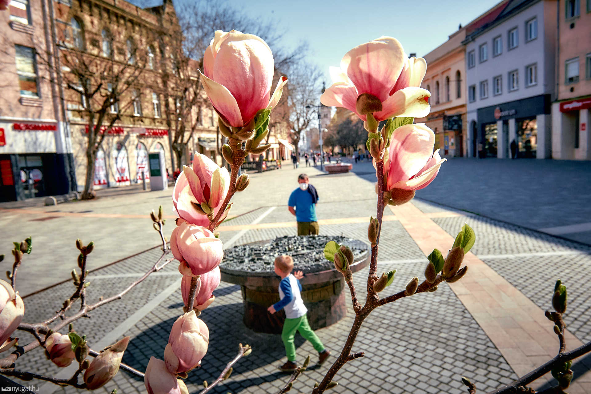 Kivirágzott Szombathely