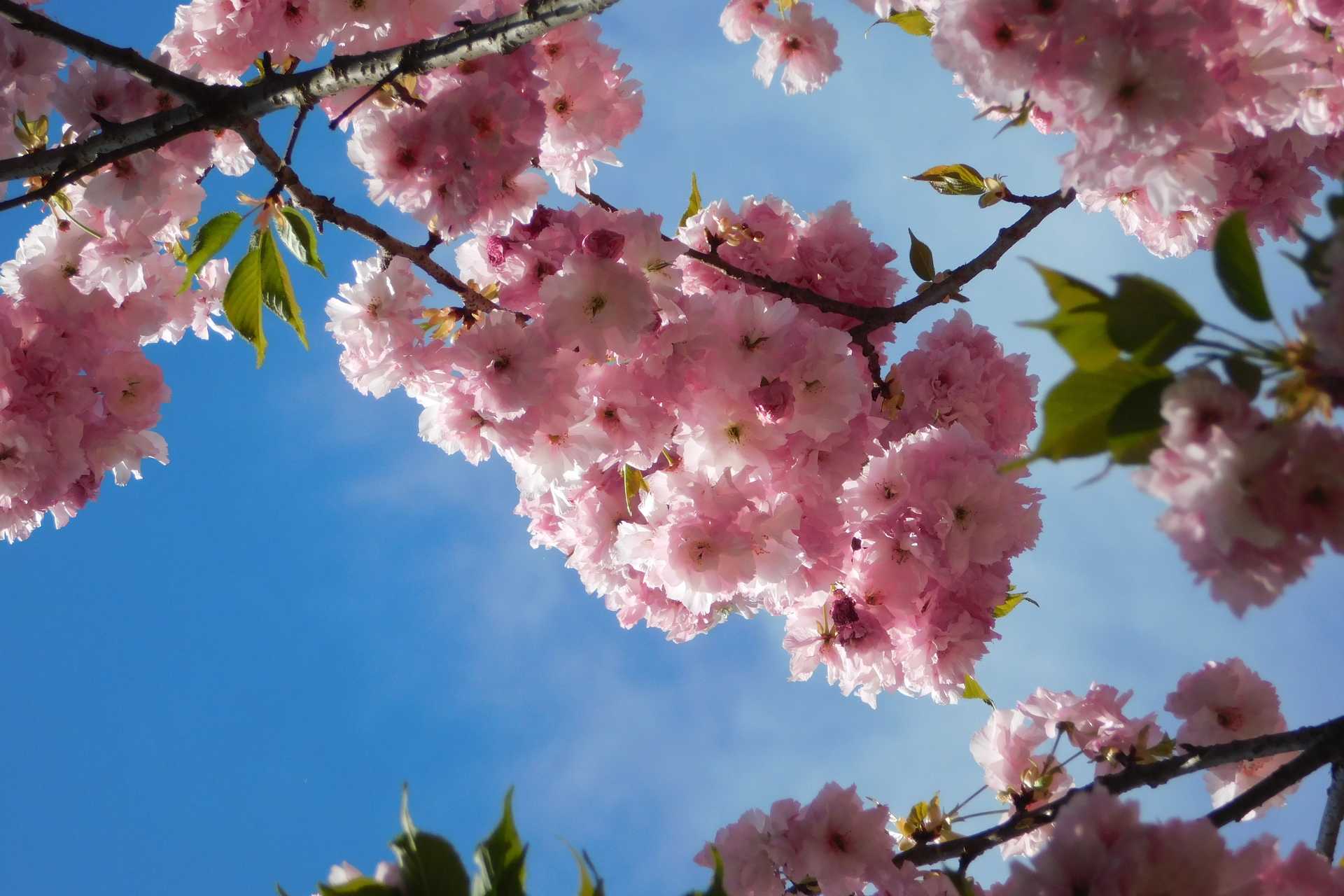 Kámoni arborétum olvasói fotók