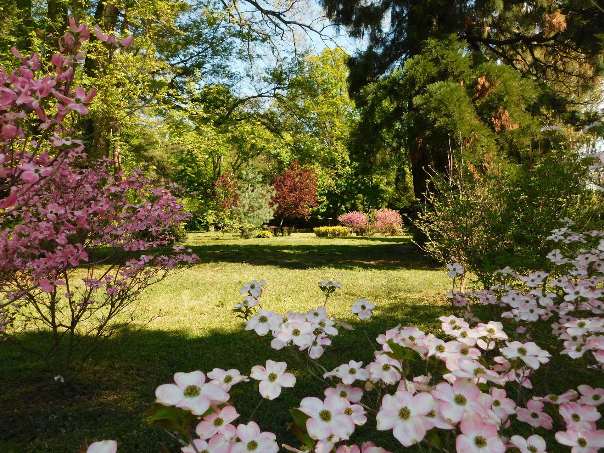 Kámoni arborétum olvasói fotók