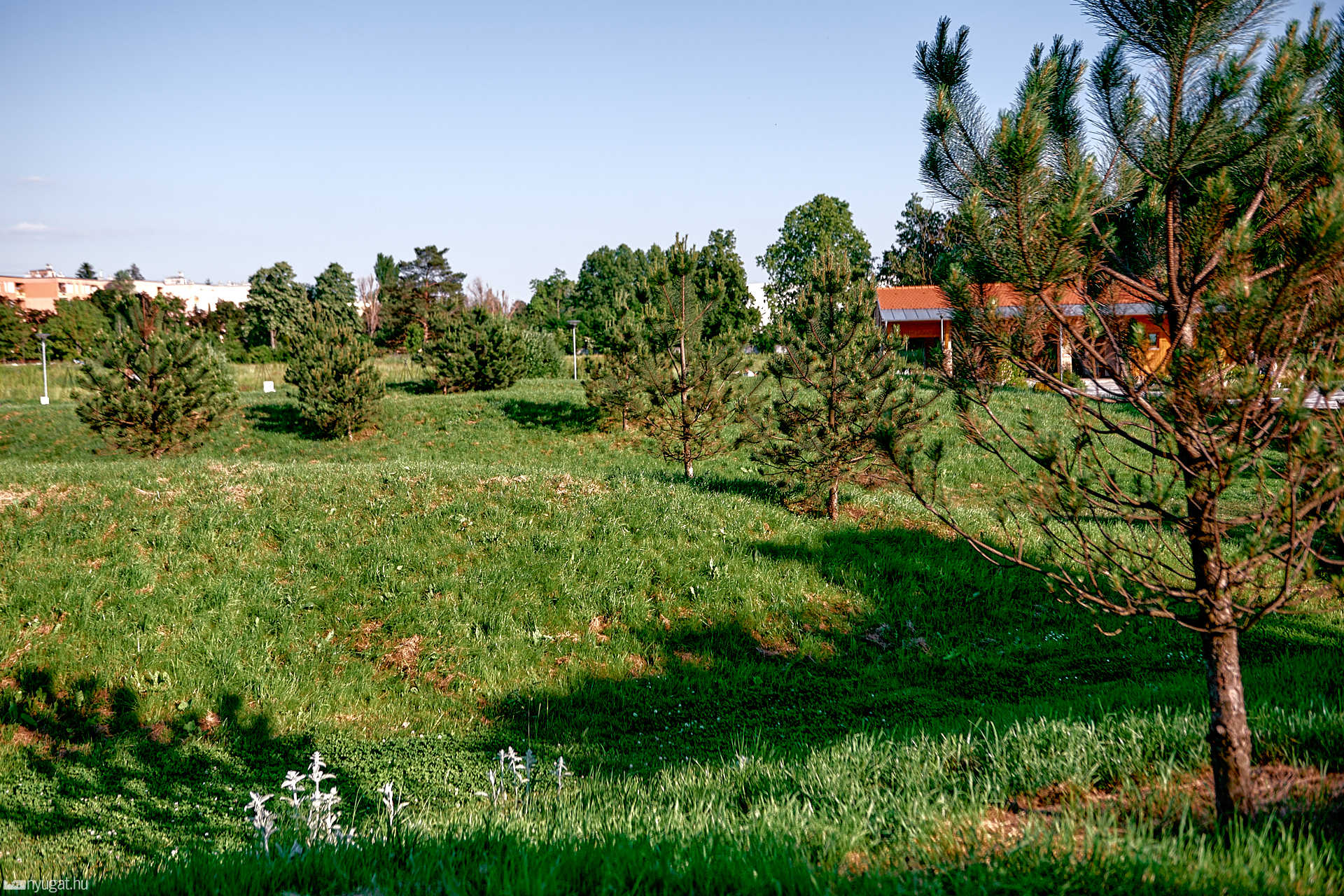 Sportligeti hangulat