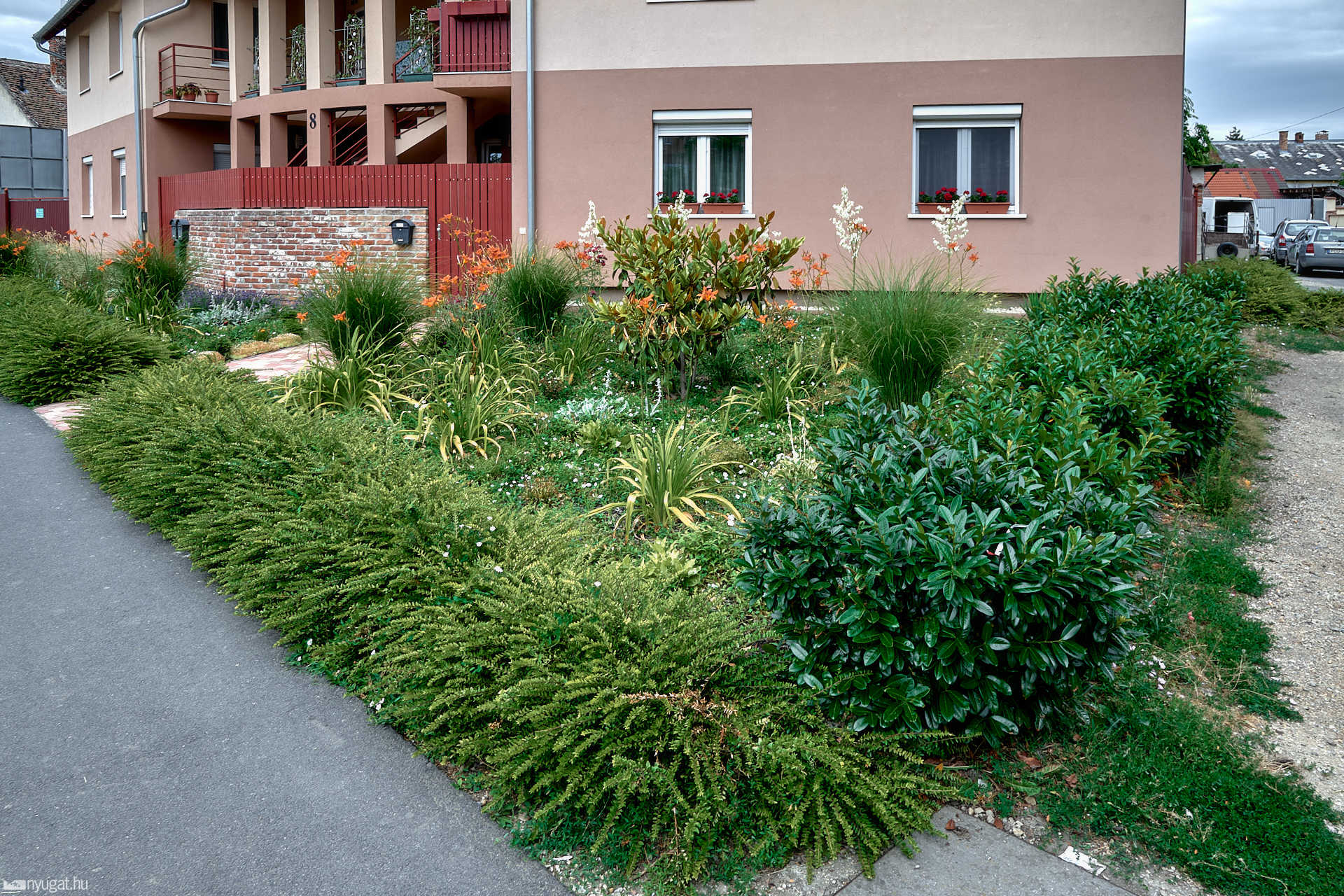 Sorok utcai kiskert