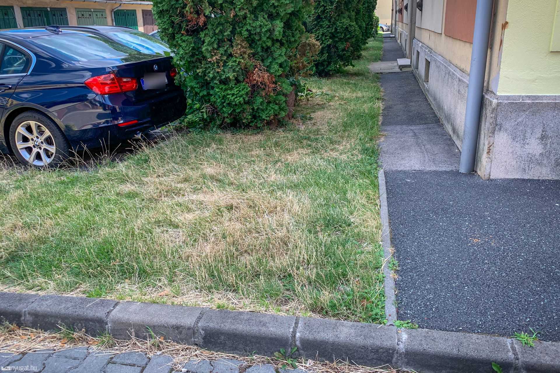 Kitakarították a szombathelyi Savaria teret