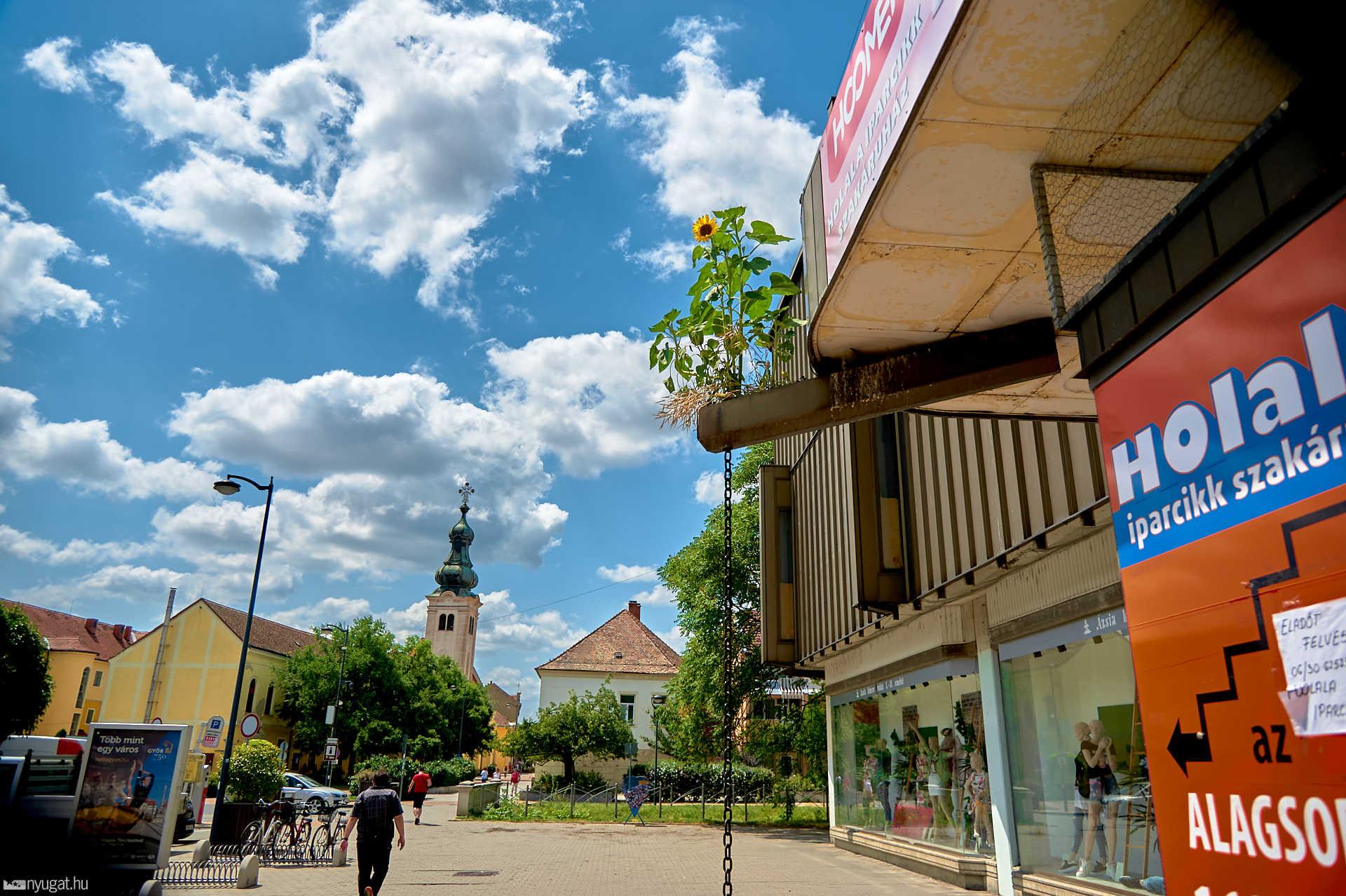Napraforgó a Borostyánkő áruház tetején