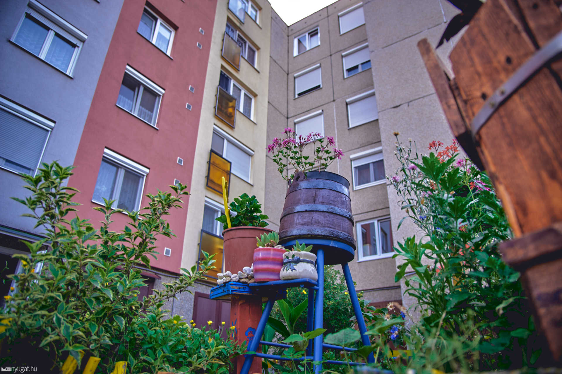 Kiskert a Benedek Elek utcában