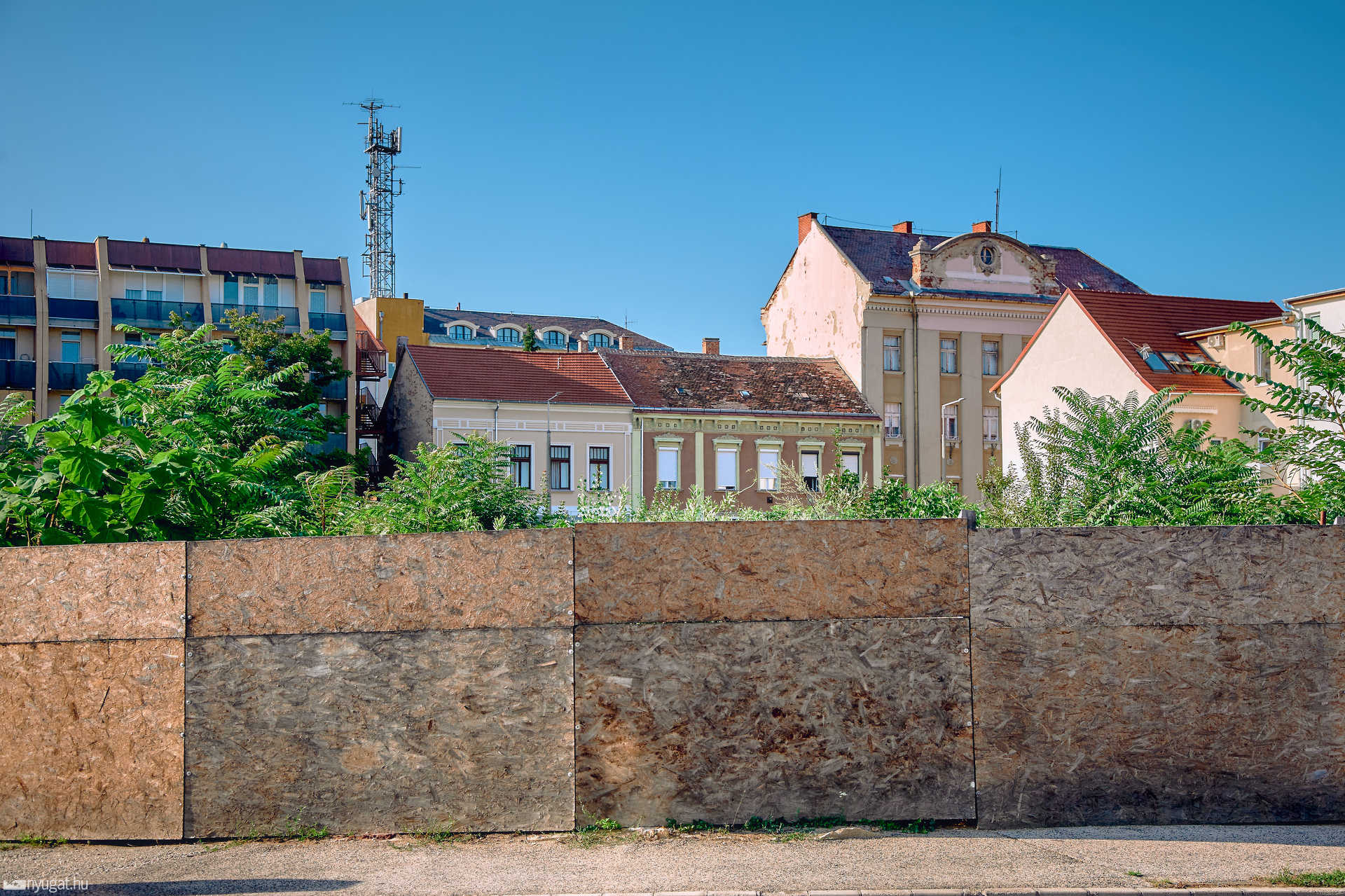 Őserdő a Magellán center helyén