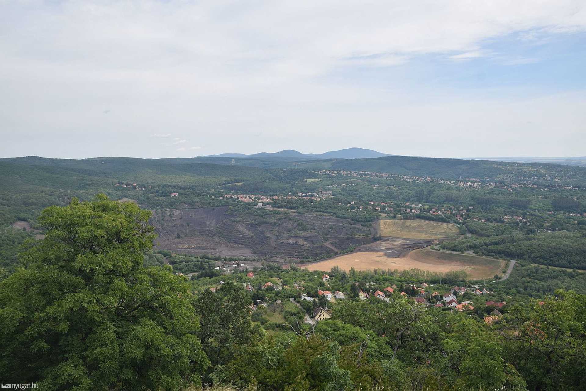 Pécsi vidámpark, Flóra pihenő