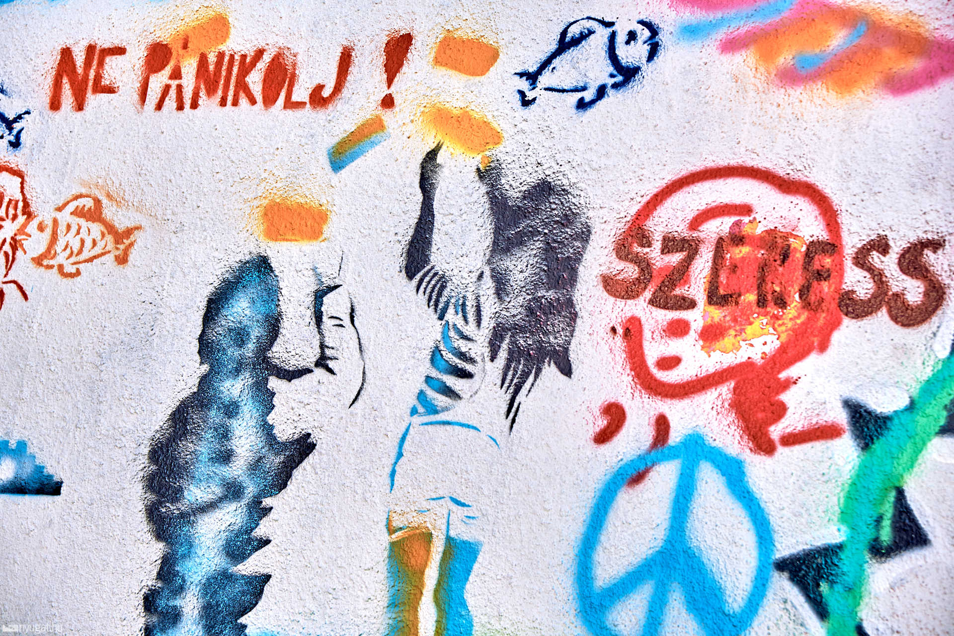 StreetArt fest-Thököly aluljáró