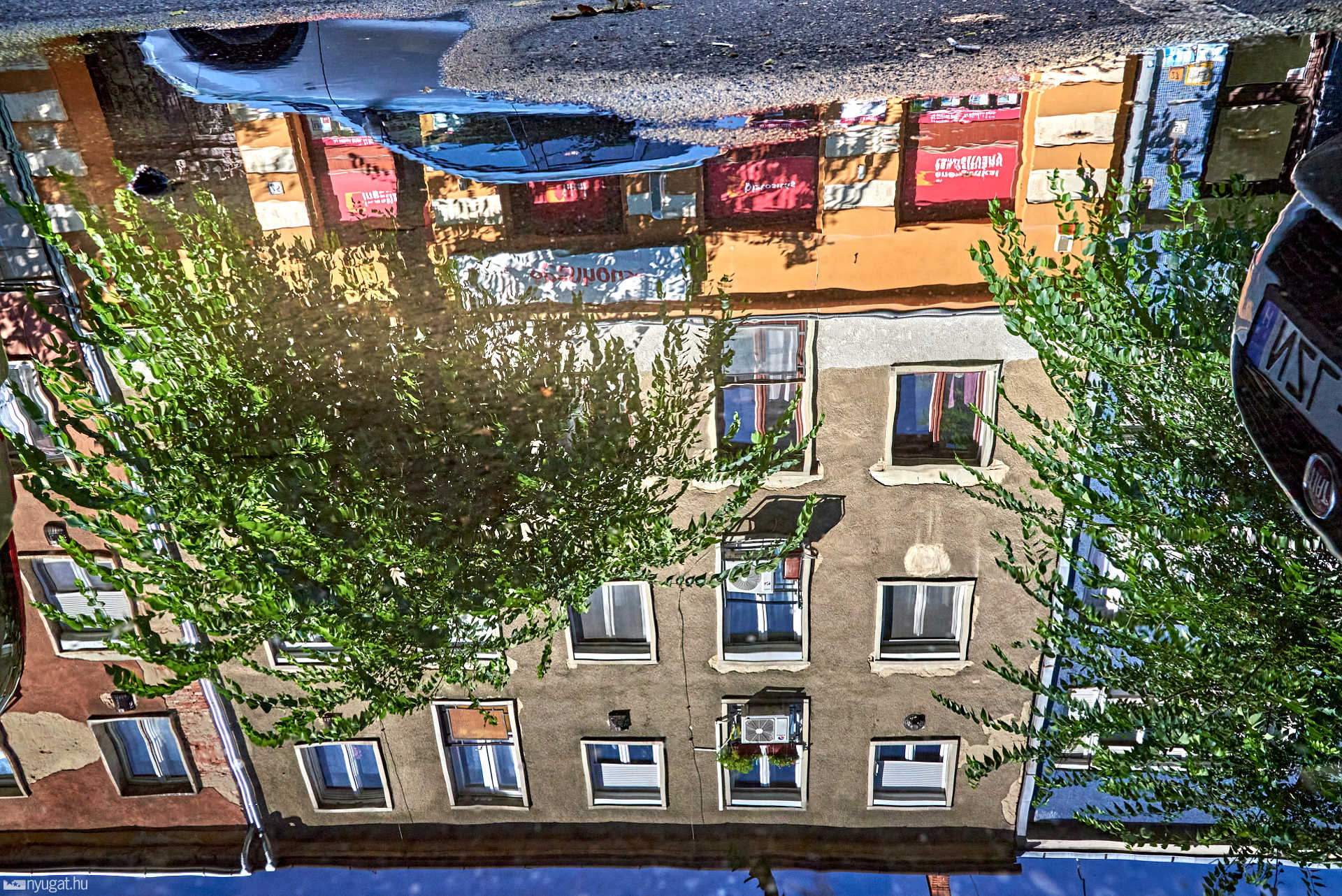 Eső utáni pocsolyák