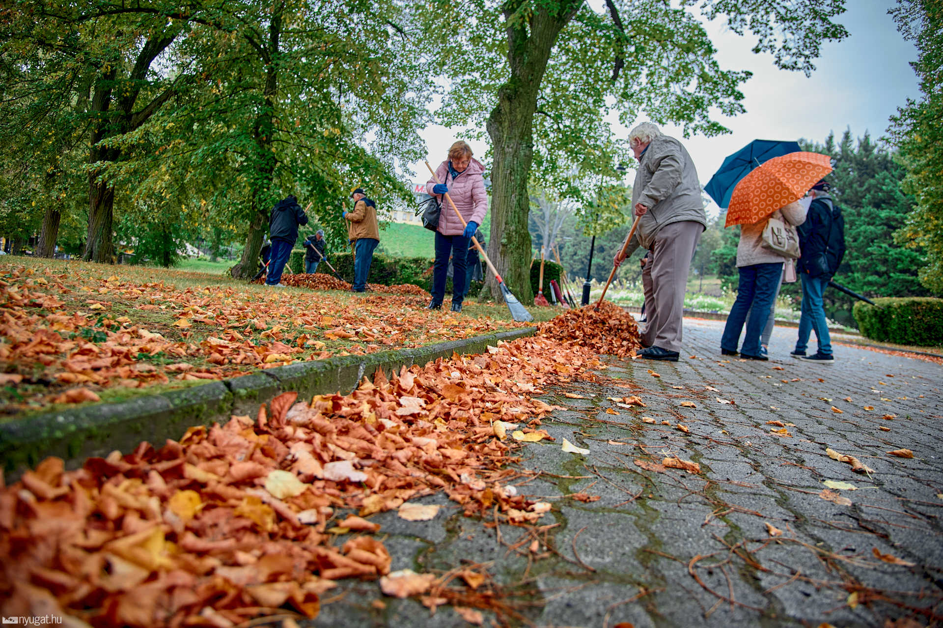 Fogadj örökbe egy parkot-Szent István park