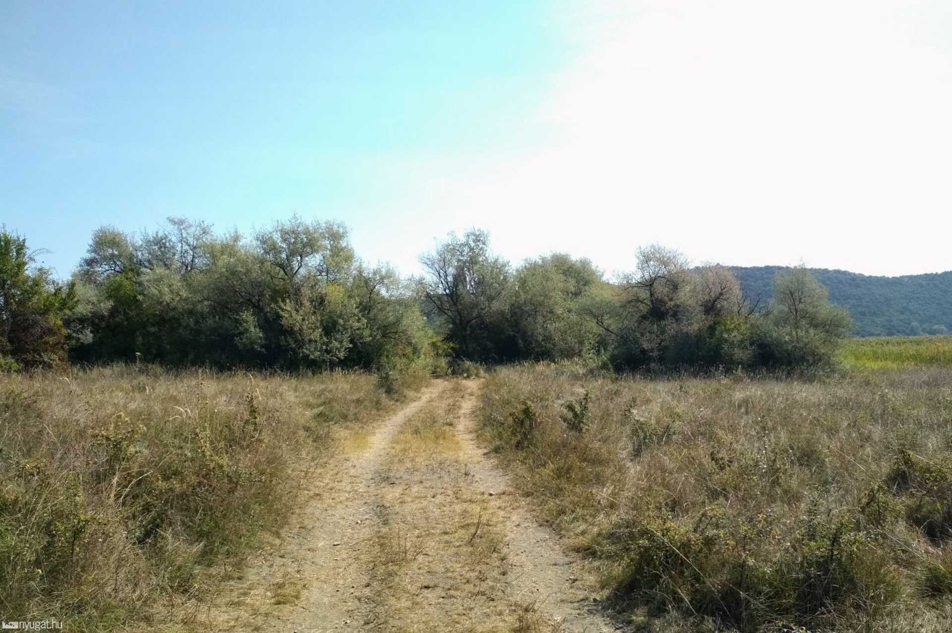 Balatonfüred, Tihany