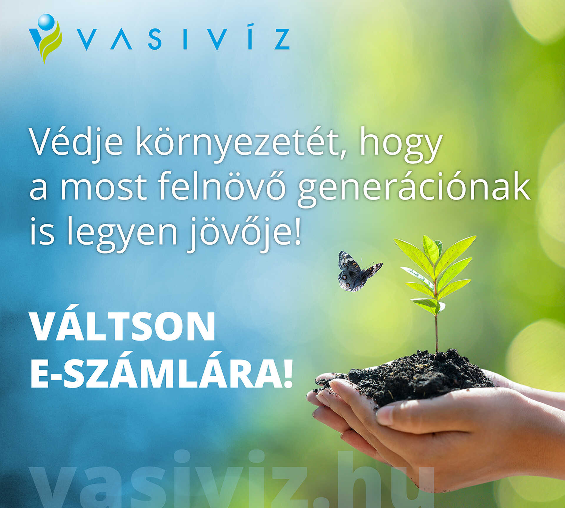 Vasivíz molino
