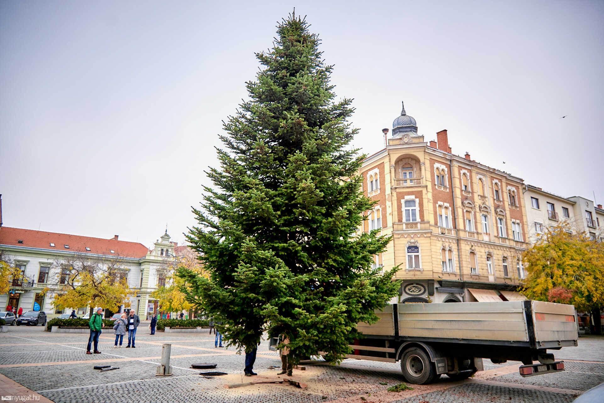 Megérkezett a fenyőfa a Fő térre