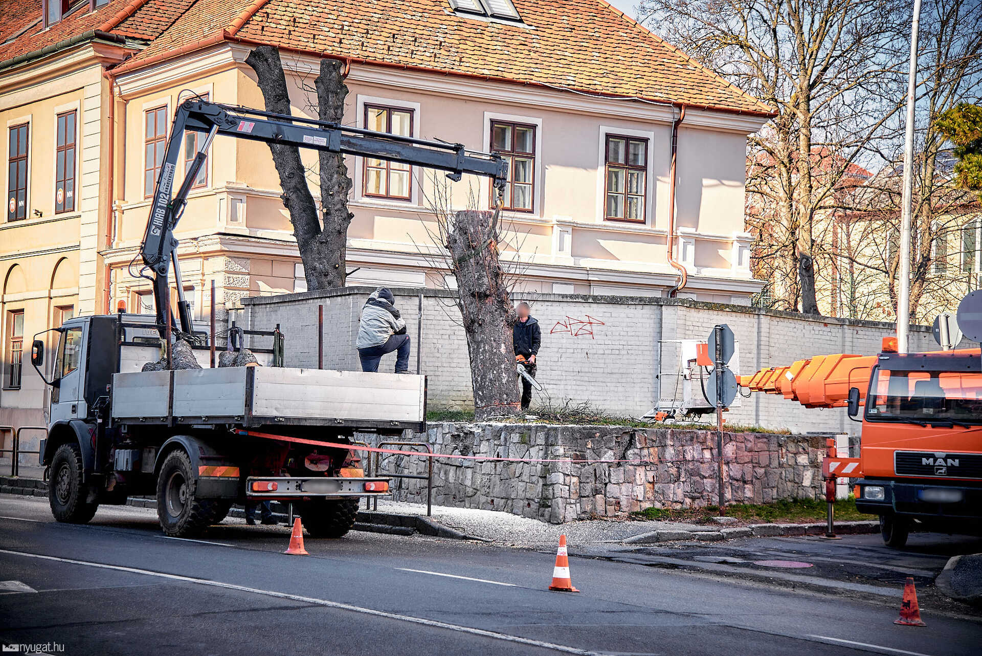 Kivágott fák a Petőfi utcában