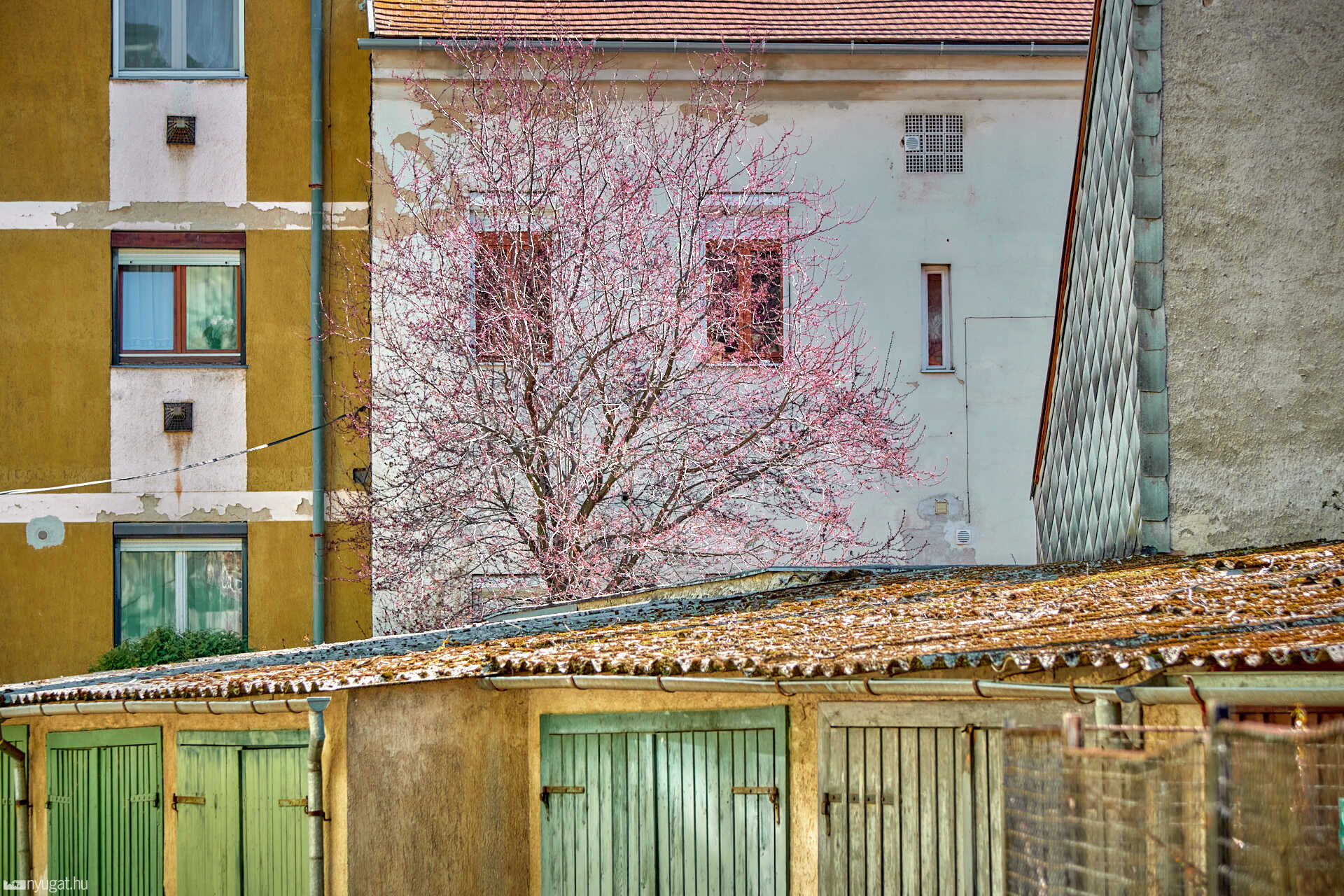 Érkezik a tavasz