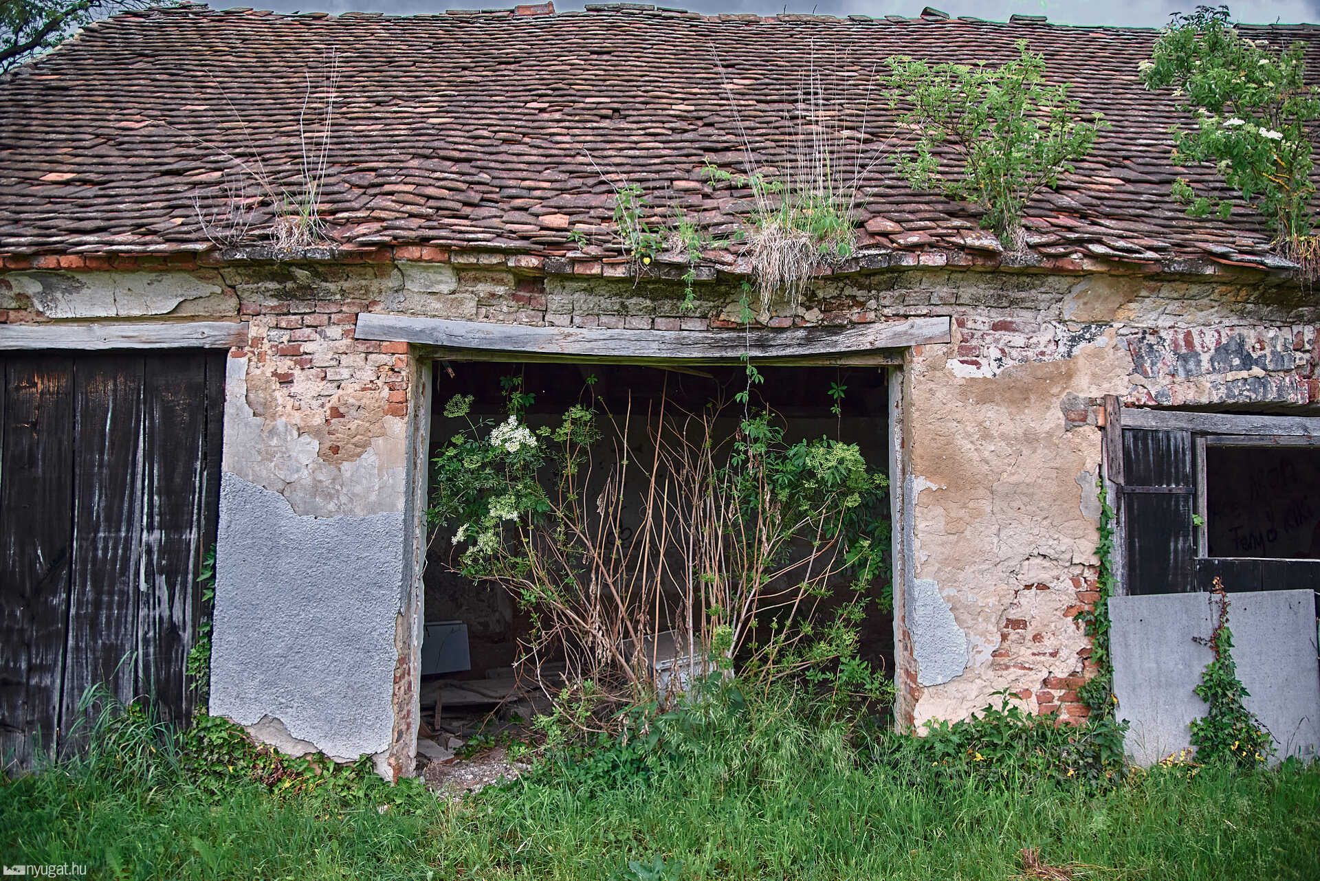 lepusztult Petőfi-MT Szombathelyen 