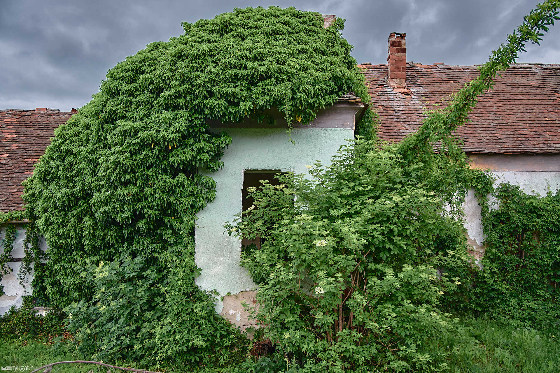 lepusztult Petőfi-MT Szombathelyen 