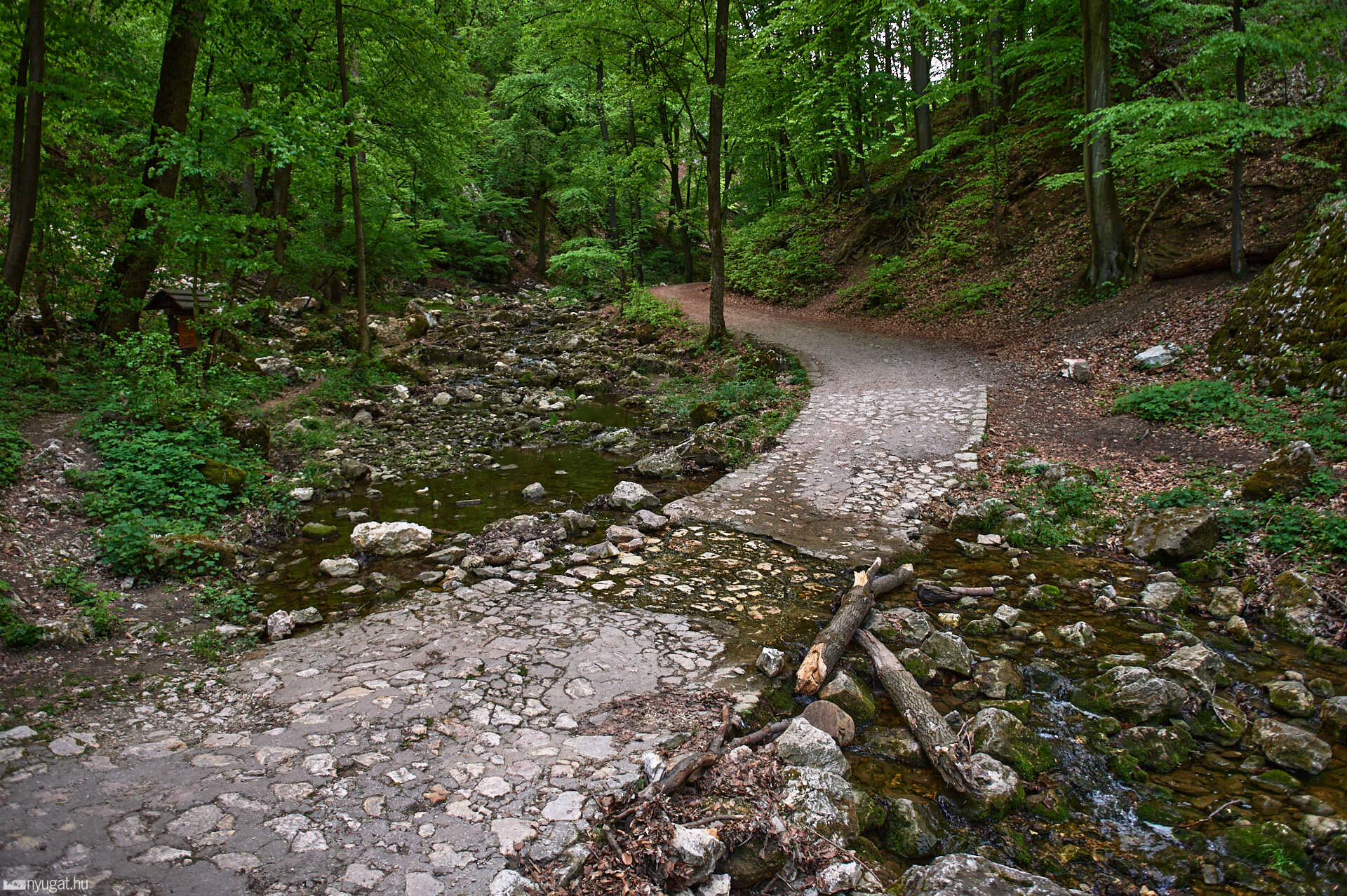 Cuha völgye