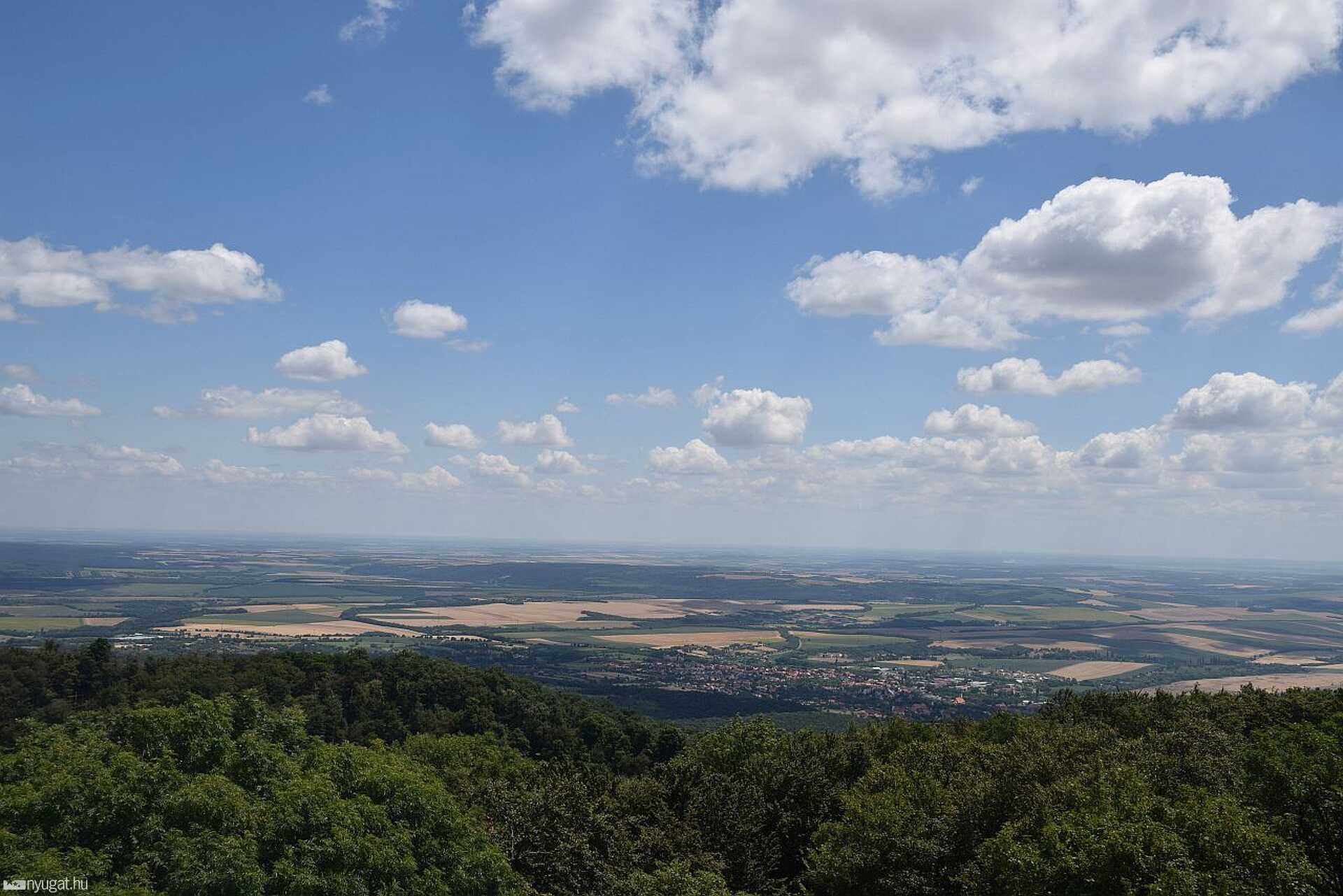 Mecsek, Zengő, erdő, túra