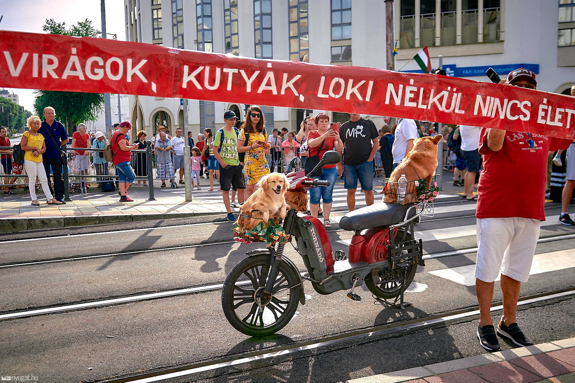 Debreceni virágkarnevál 2022