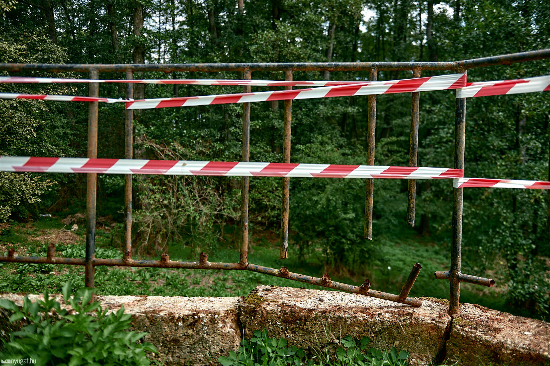 Váti szent kút
