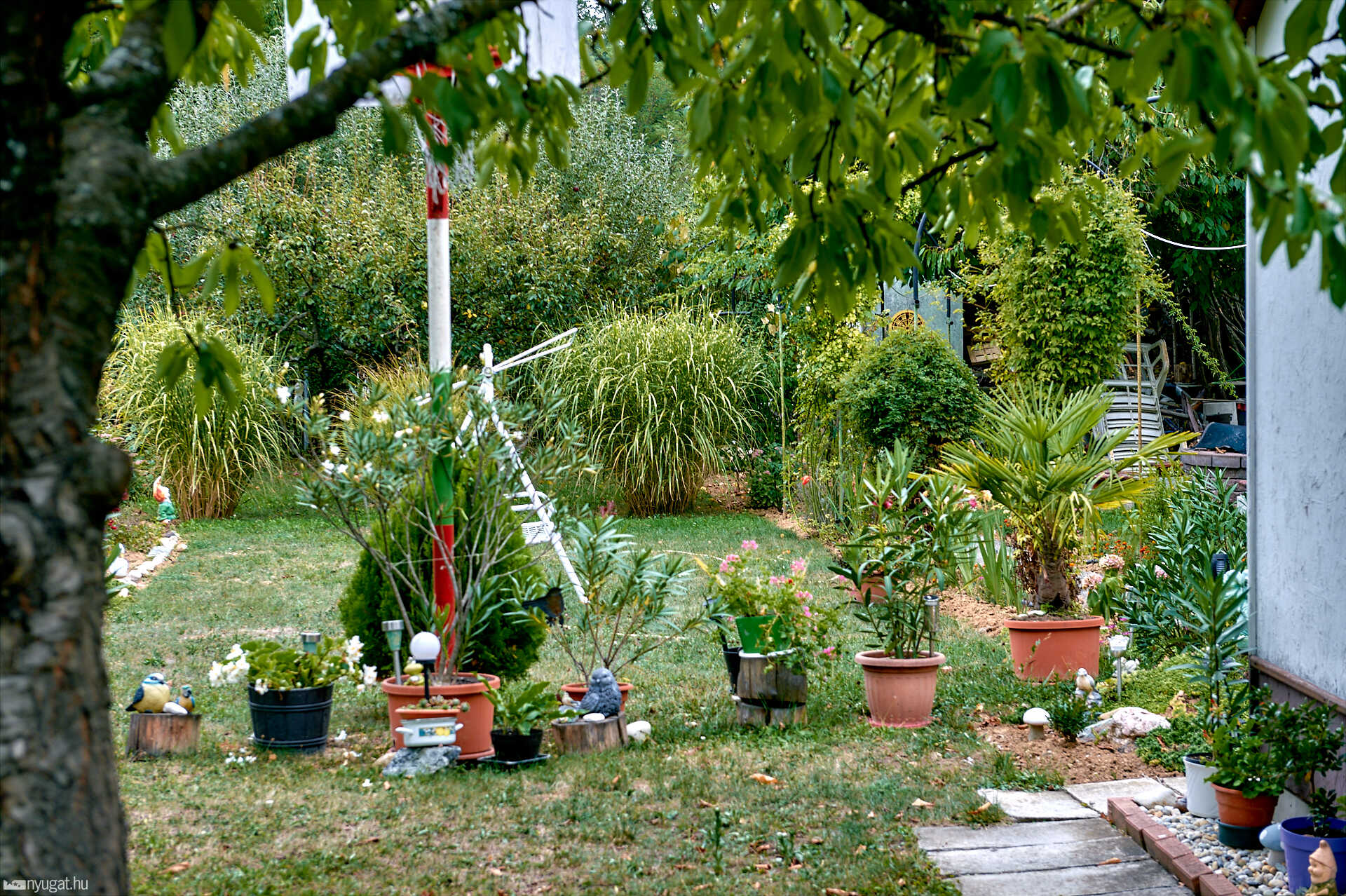 modern 2. Bakó Péter