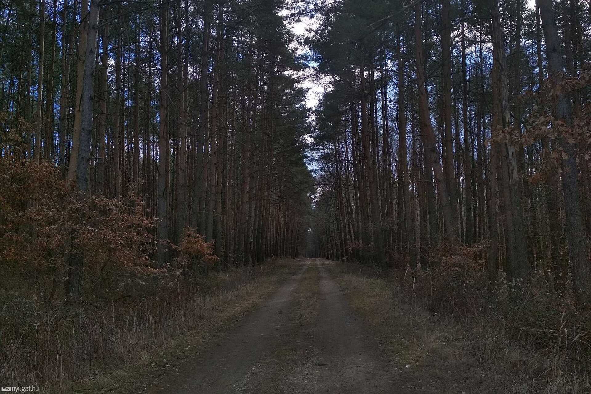Erdő, Kőszeg, Csepreg, Kőszegfalva, túra