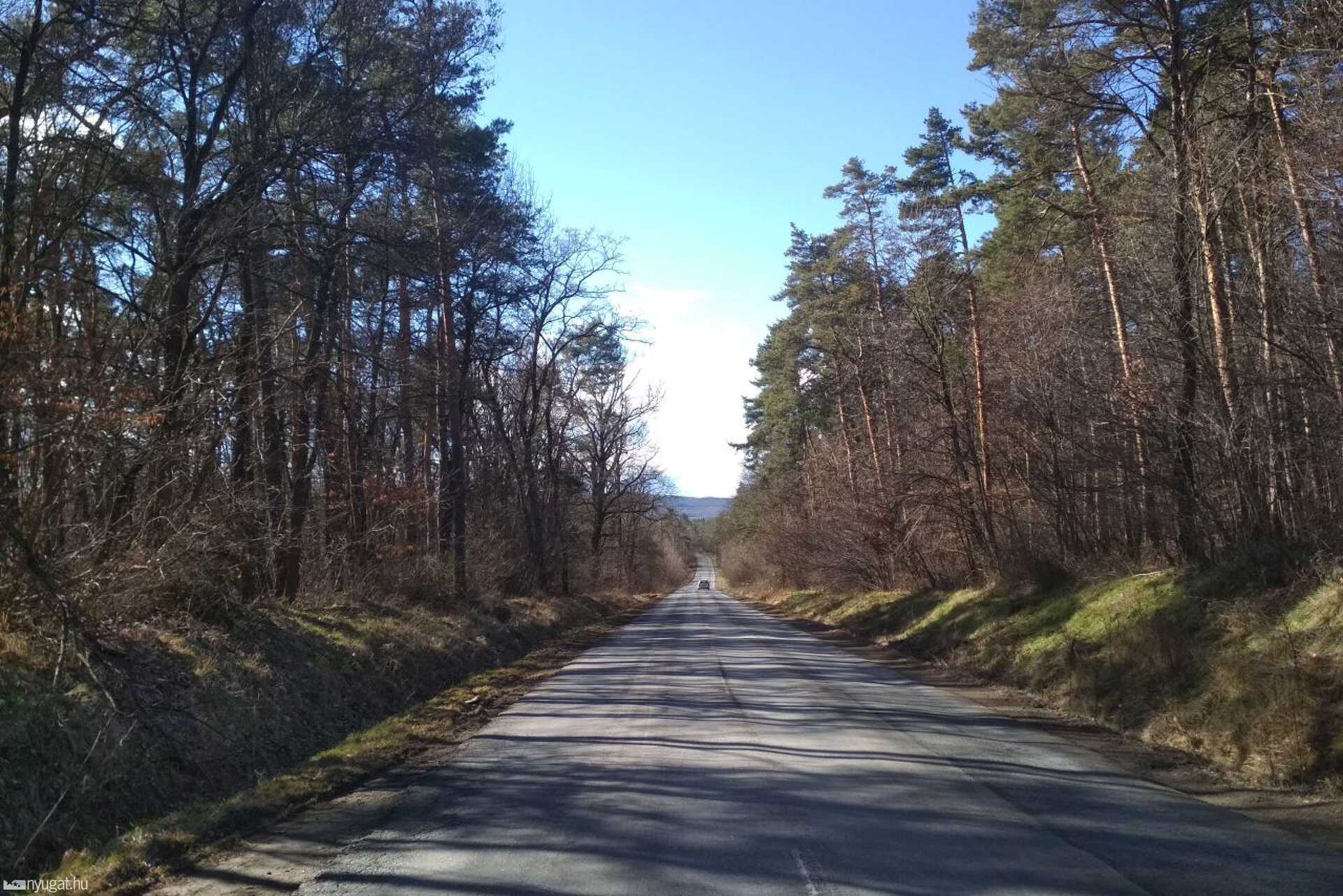 Erdő, Kőszeg, Csepreg, Kőszegfalva, túra