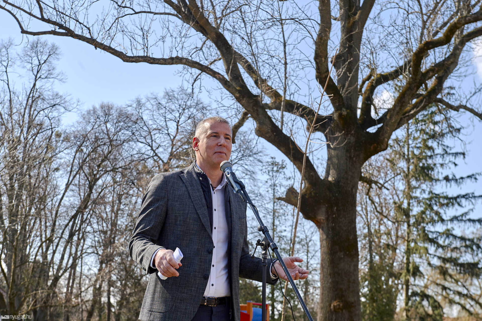 Közösségi faültetés a szombathelyi Gayer parkban