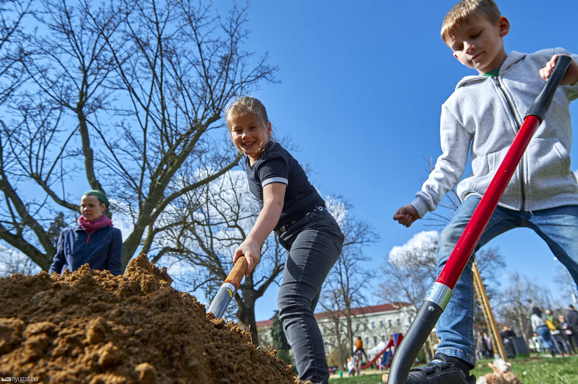 Közösségi faültetés a szombathelyi Gayer parkban