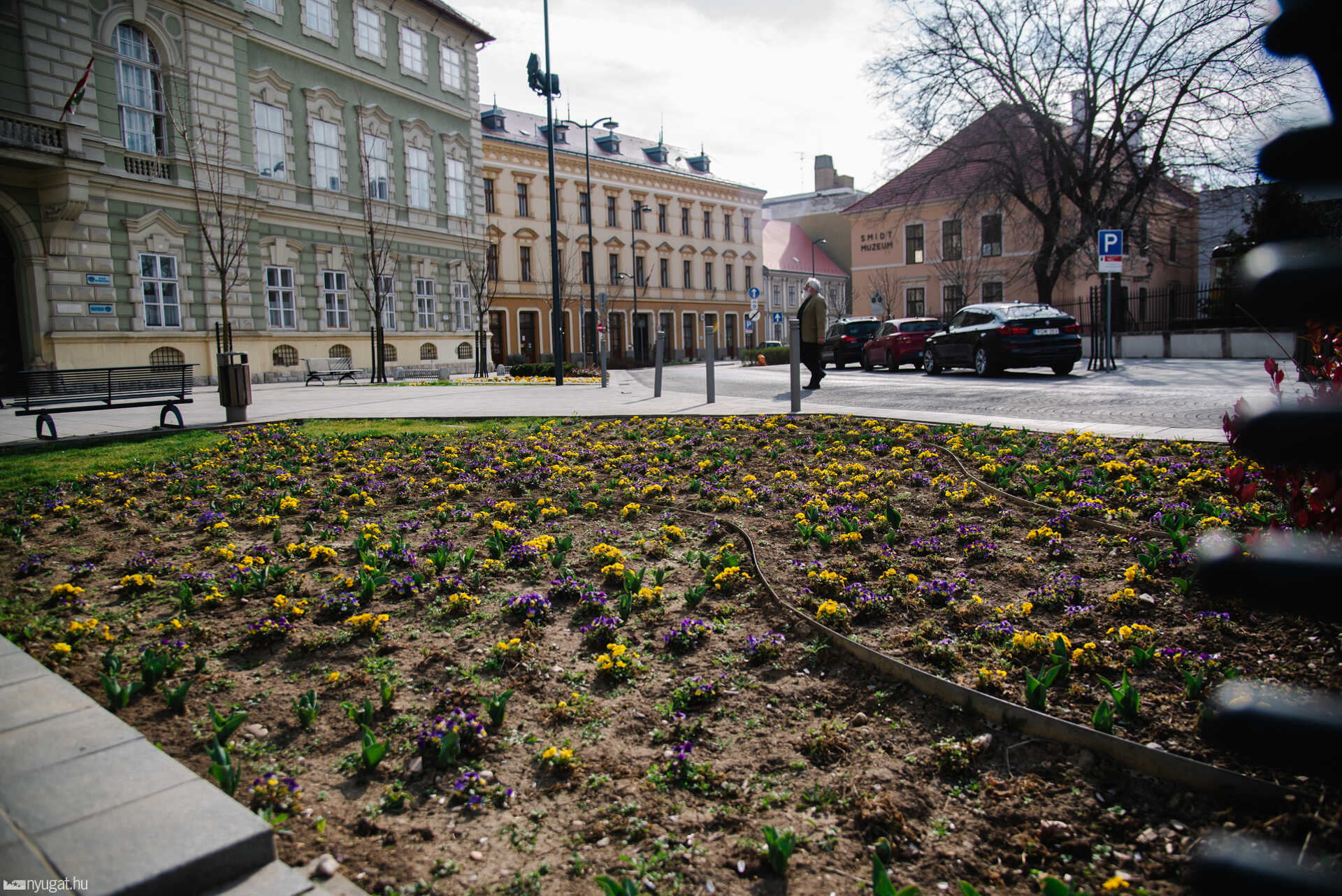 Virágok a Berzsenyi téren