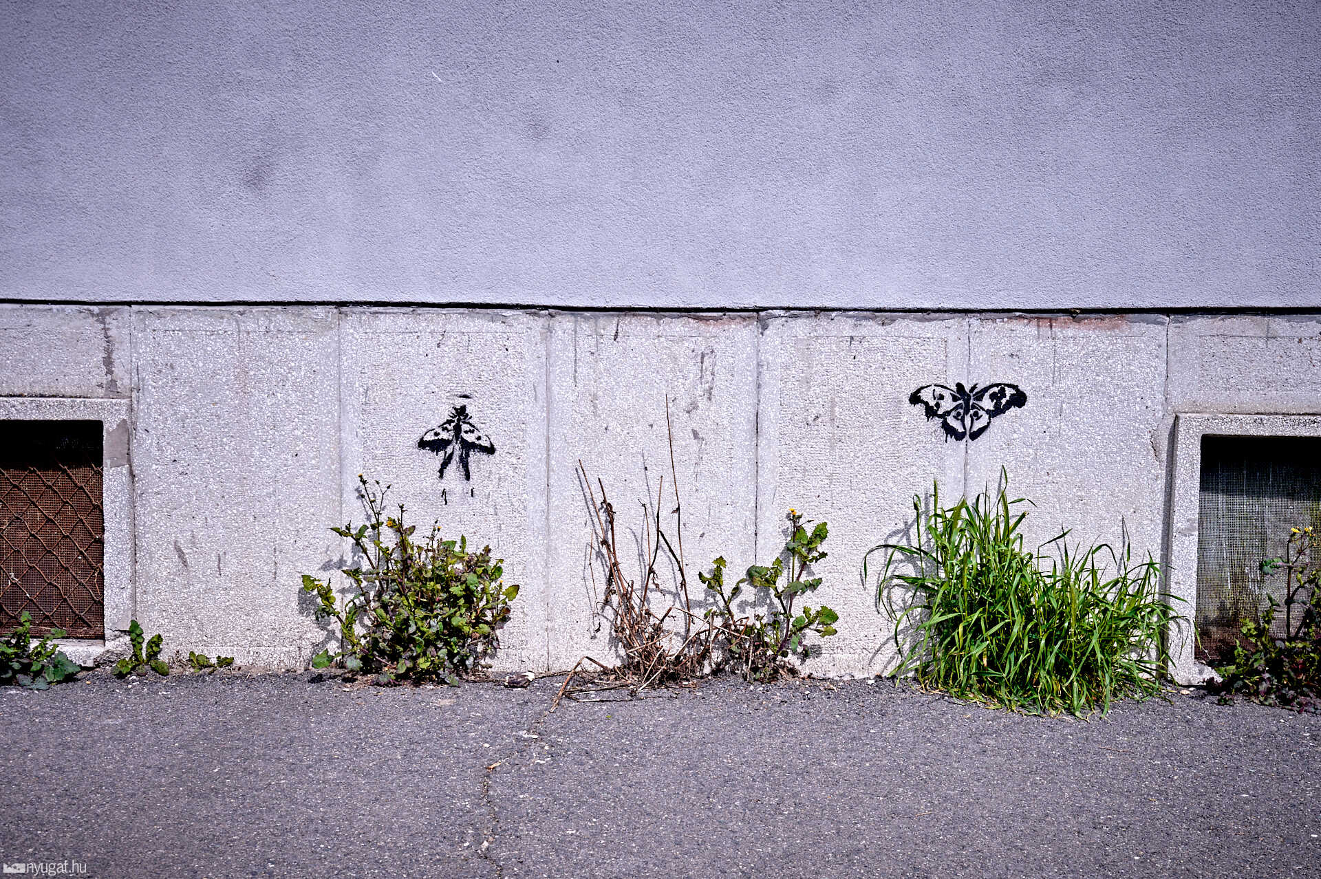 Graffiti lepkék Szombathelyen