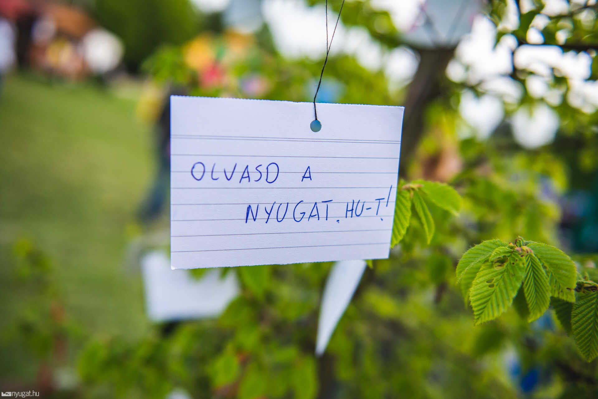 május 1. majális