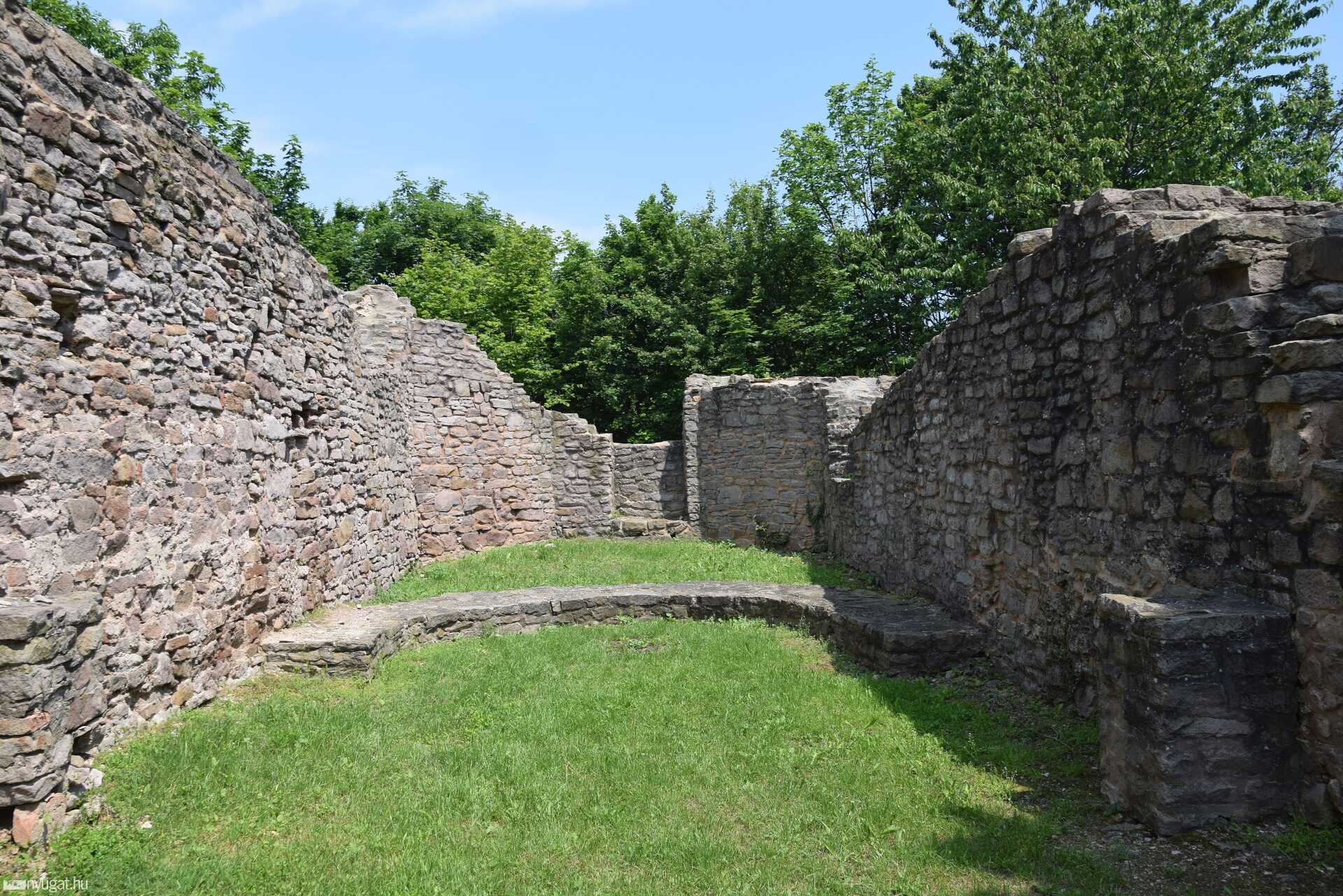 Jakab-hegy, Mecsek, erdő