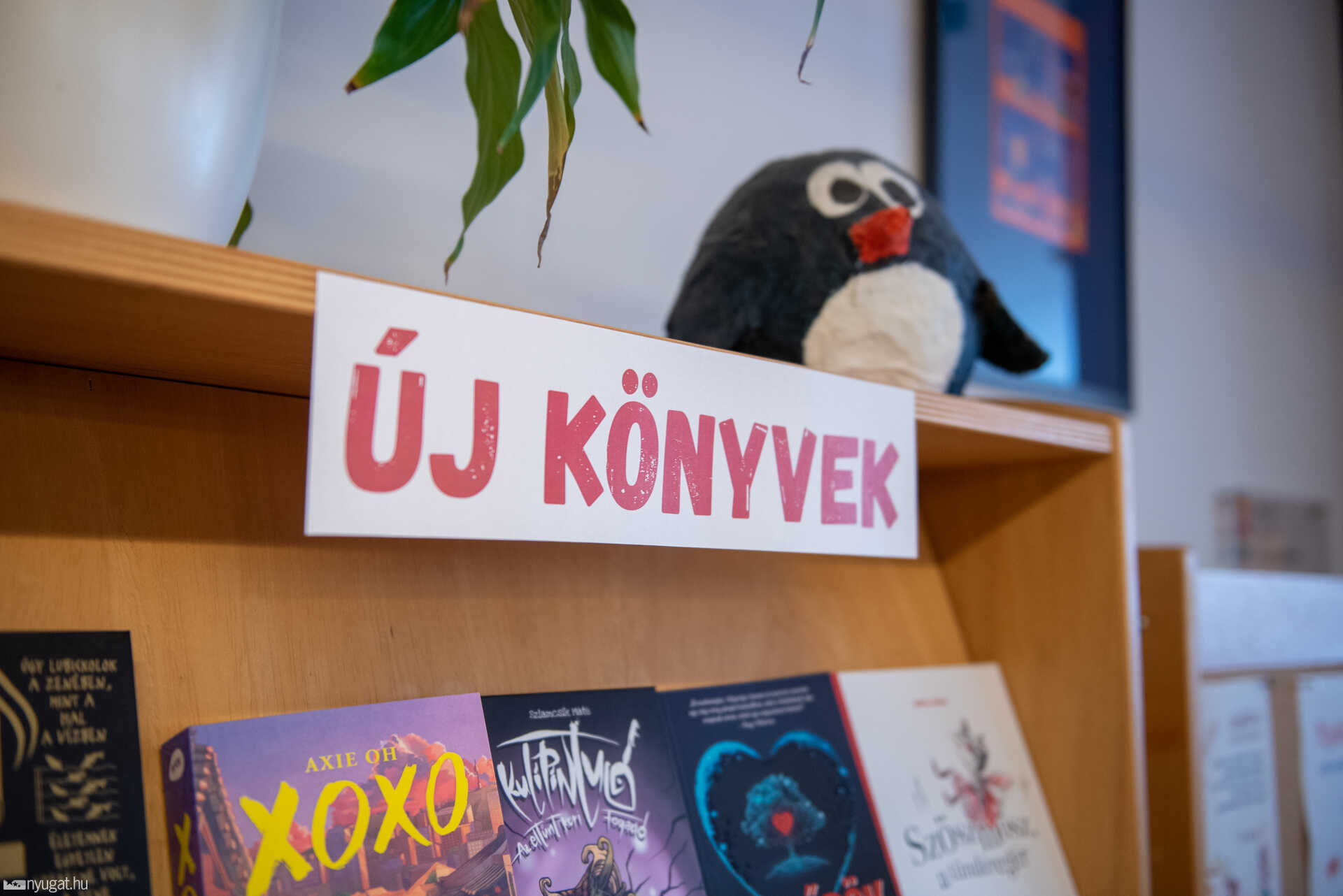 Berzsenyi Dániel Könyvtár