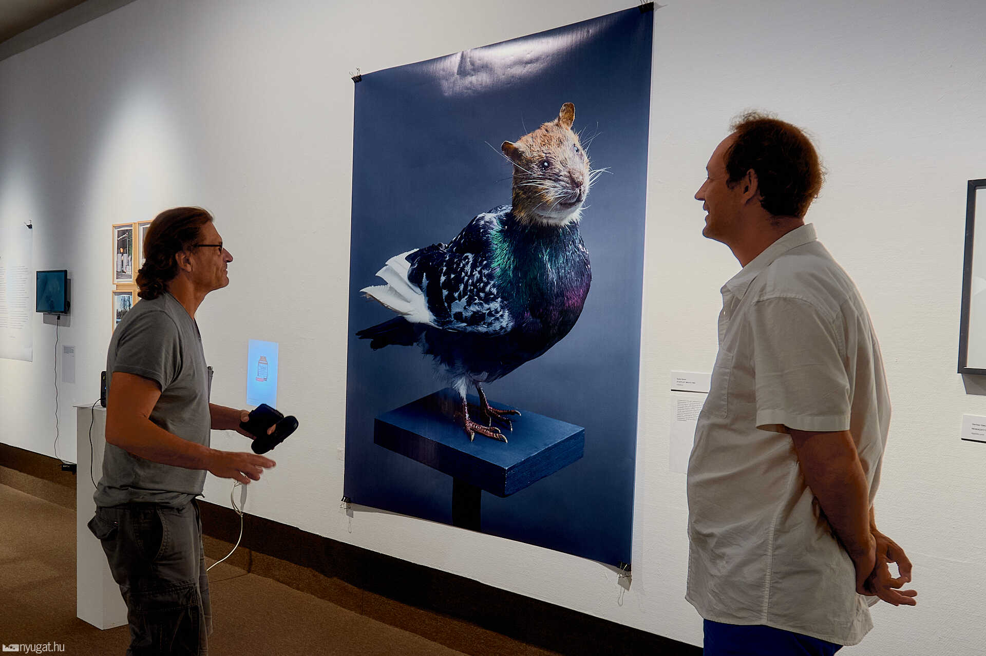Urban Animals kiállítás a szombathelyi képtárban 2023