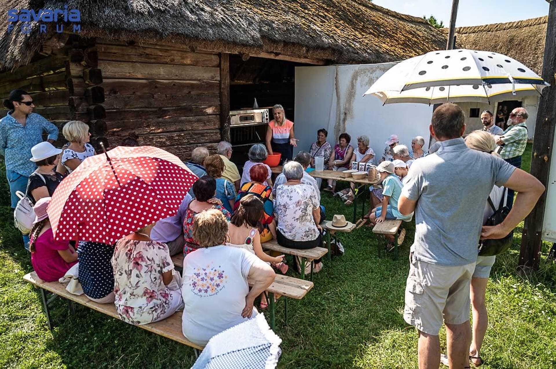 Jubileumot ünnepelt a Vasi Skanzen